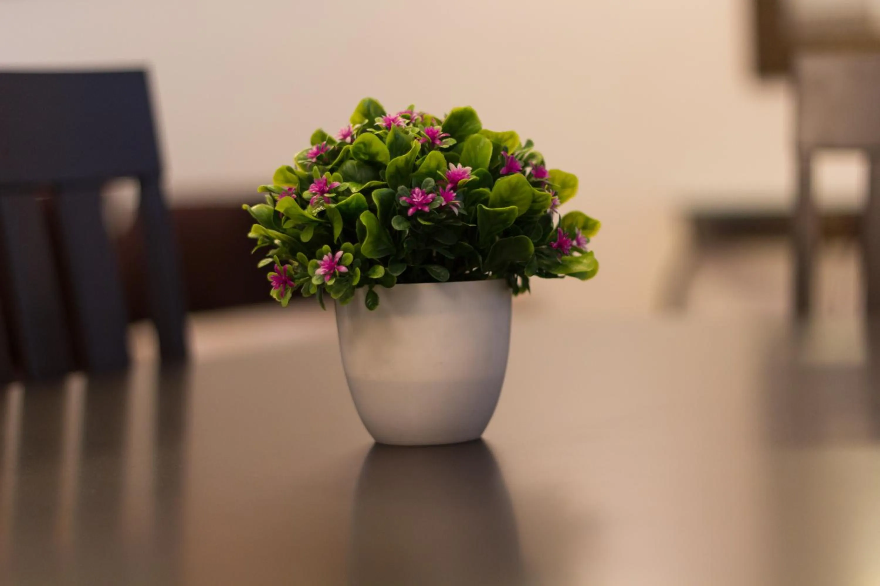 Communal lounge/ TV room in Erica Residences - Riverside