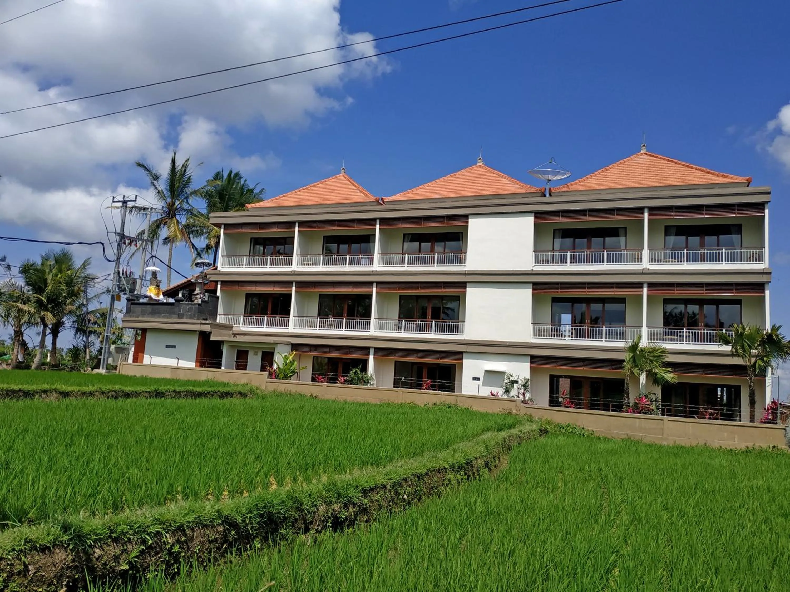 Property building in Paon Desa Ubud