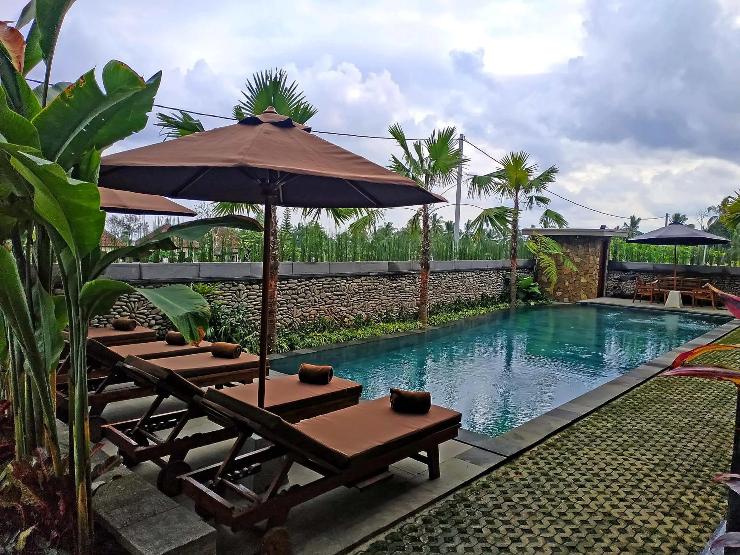 Swimming pool in Paon Desa Ubud