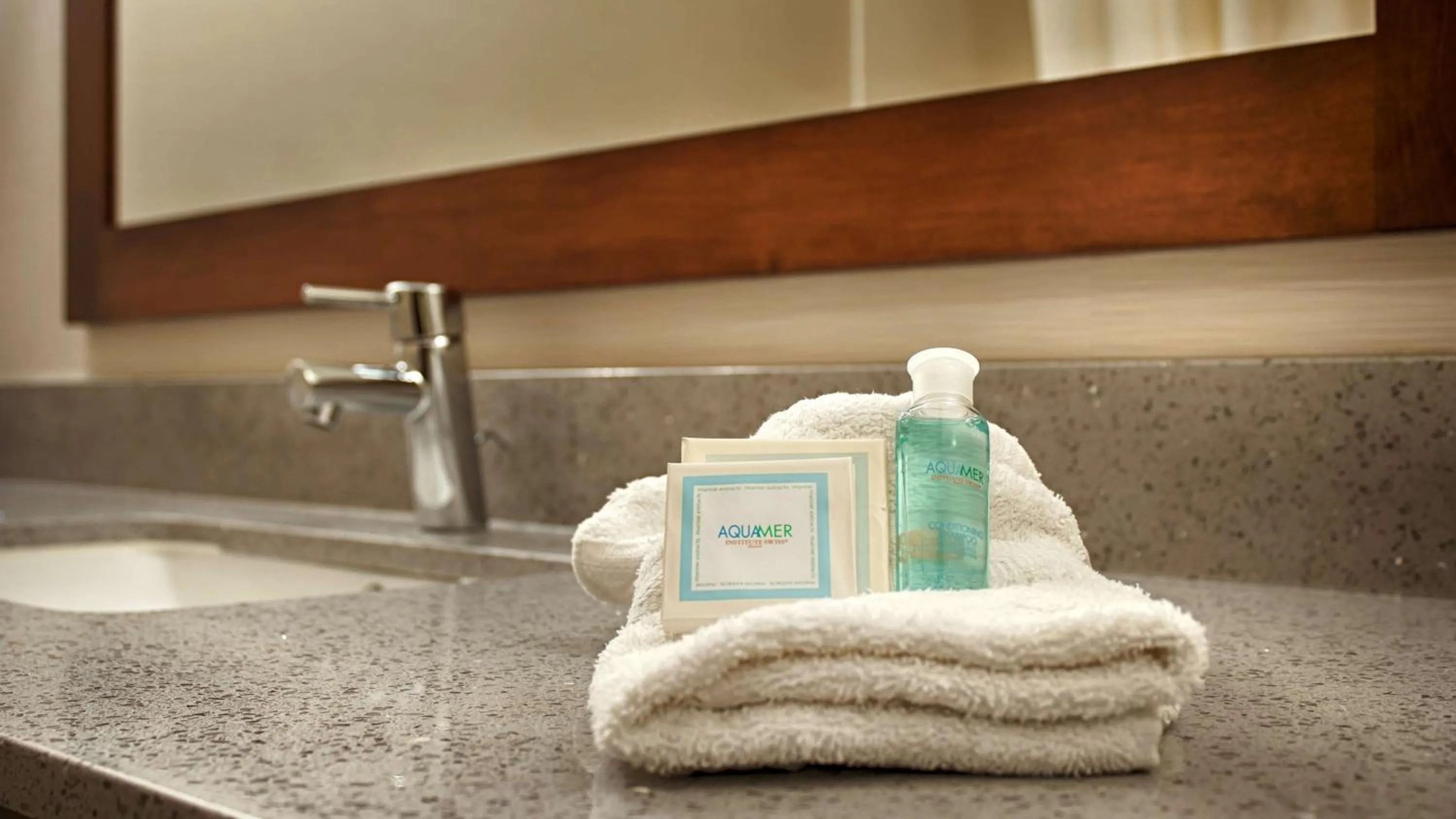 Bathroom in Best Western Elkhart Inn & Suites