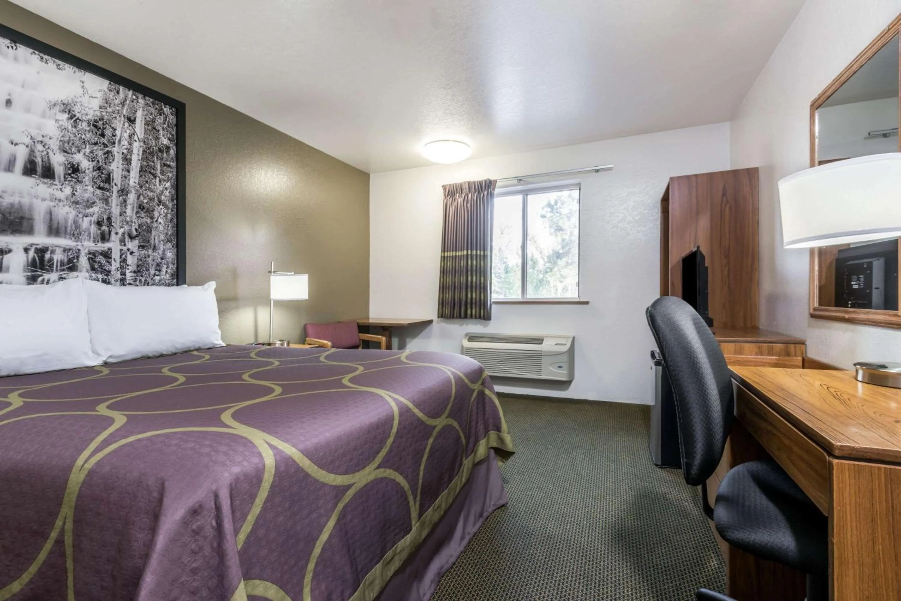 Photo of the whole room, Bed in Super 8 by Wyndham Missoula/Reserve St.