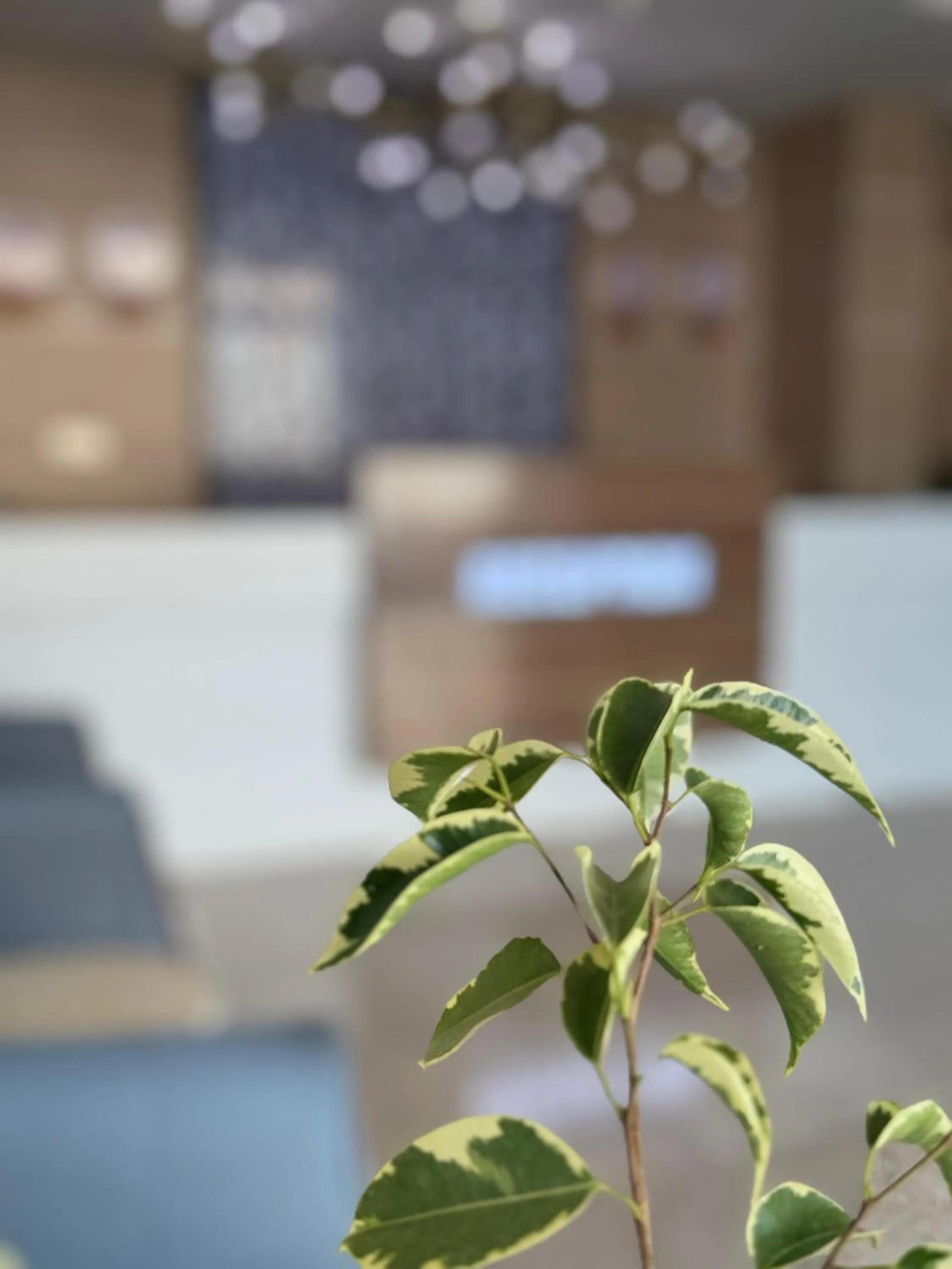 Bed in Season Inn Hotel