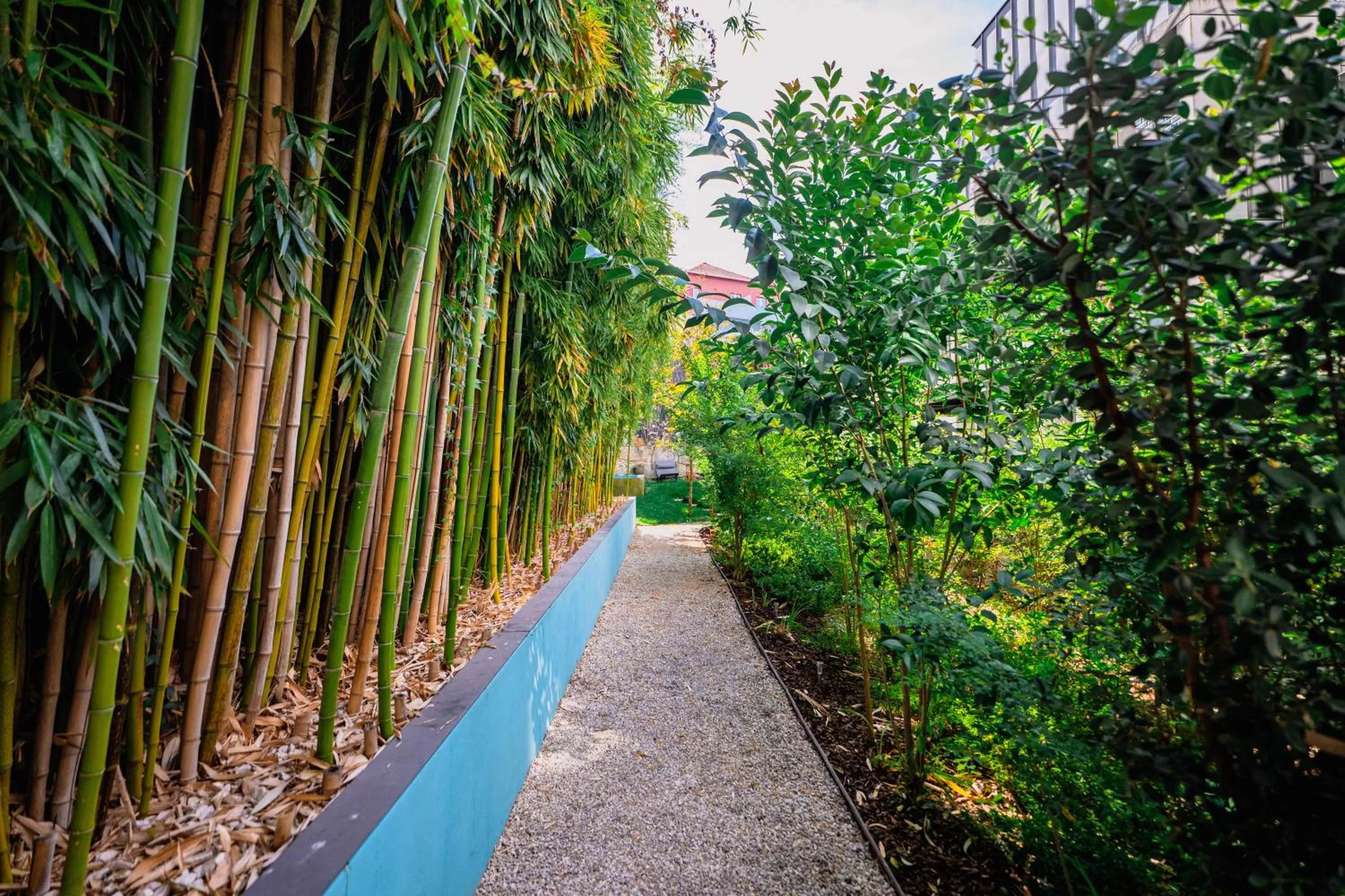 Day in Jardim da Batalha Boutique Hotel by Shiadu