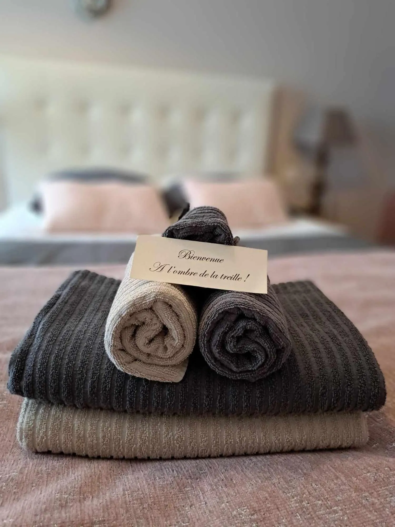 towels, Bed in A L'OMBRE DE LA TREILLE -Proche Saint-Emilion