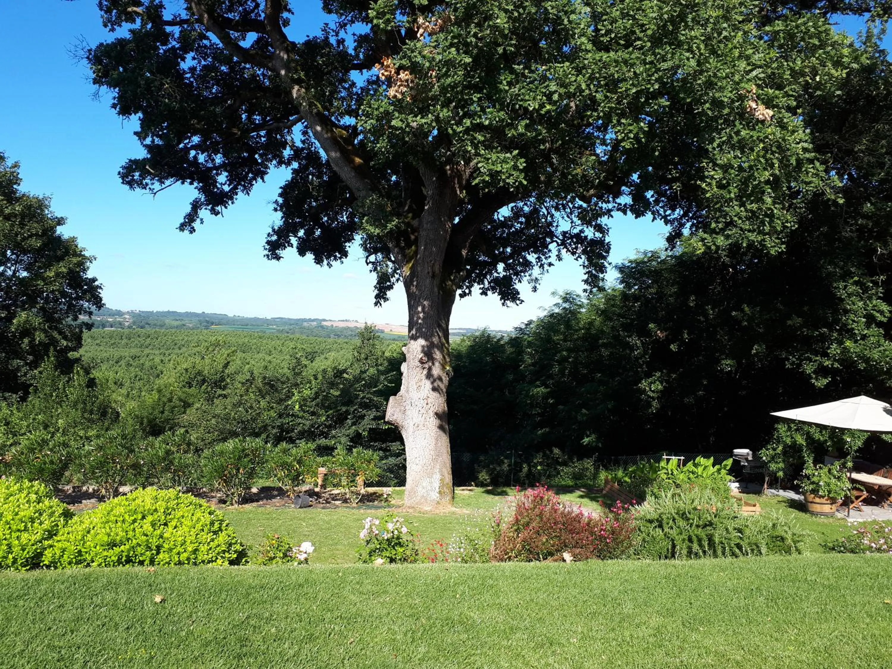 Natural landscape in La Chênaie