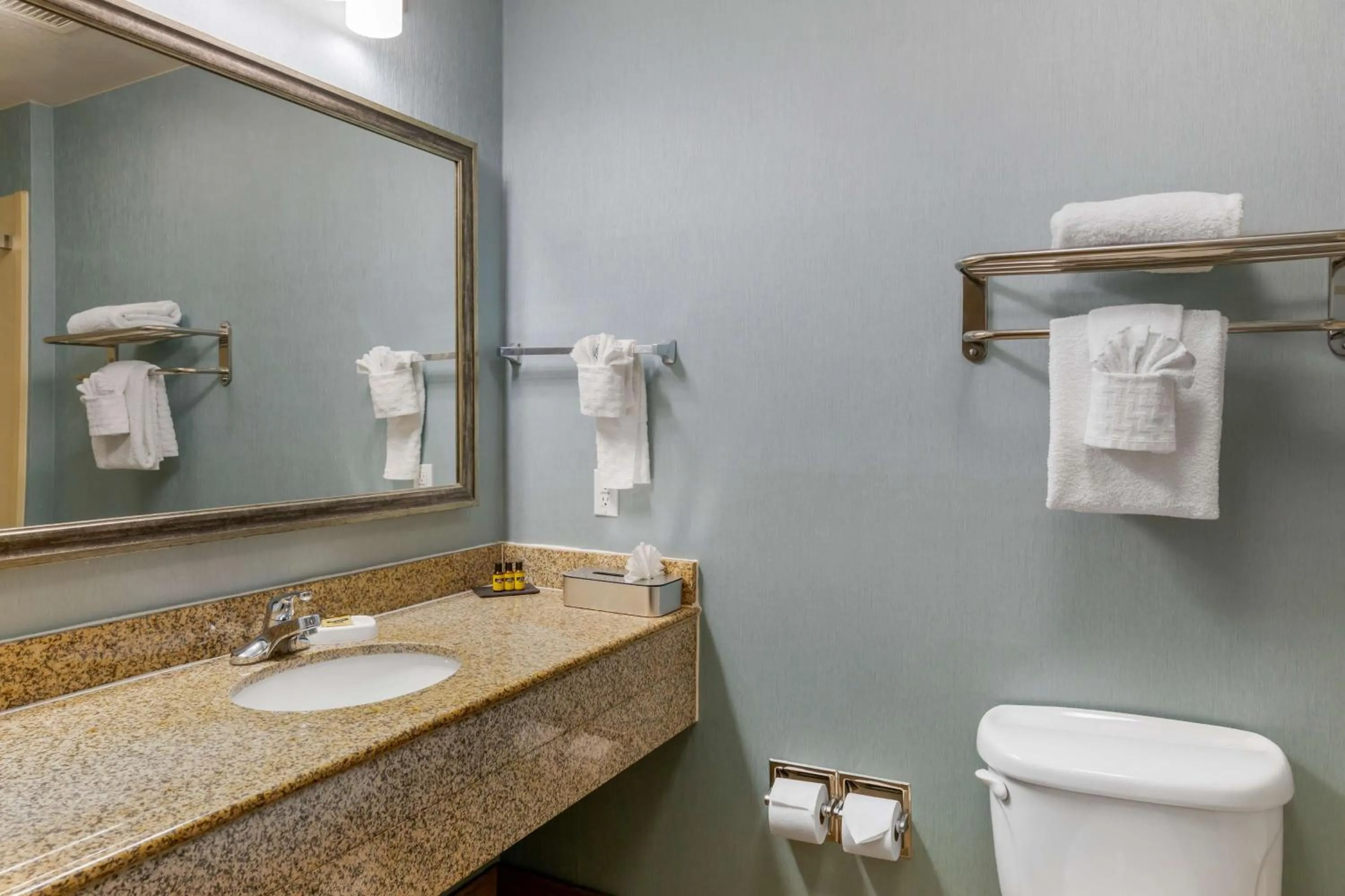 Bathroom in Best Western Plus Wasco Inn & Suites