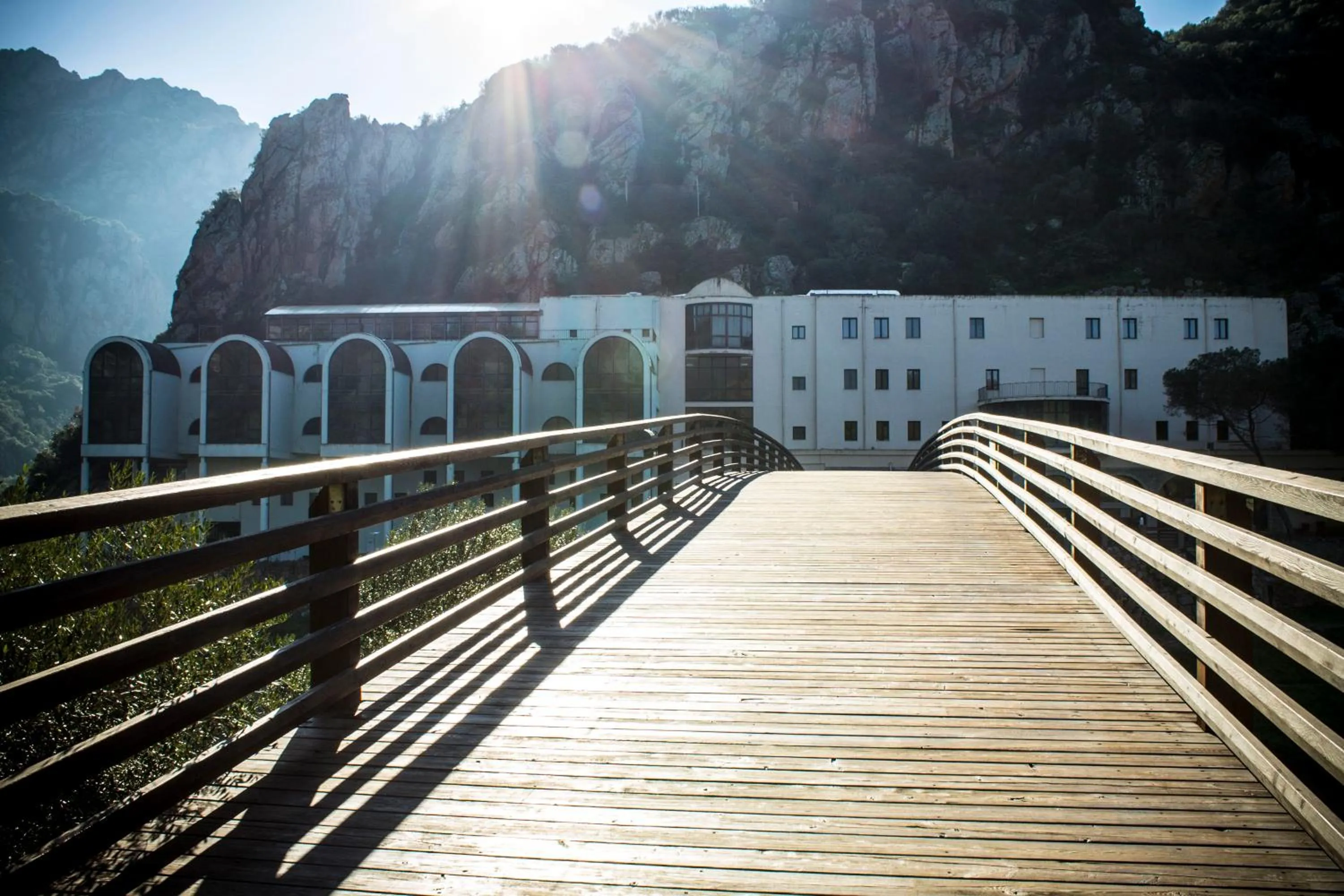 Il giardino degli ulivi