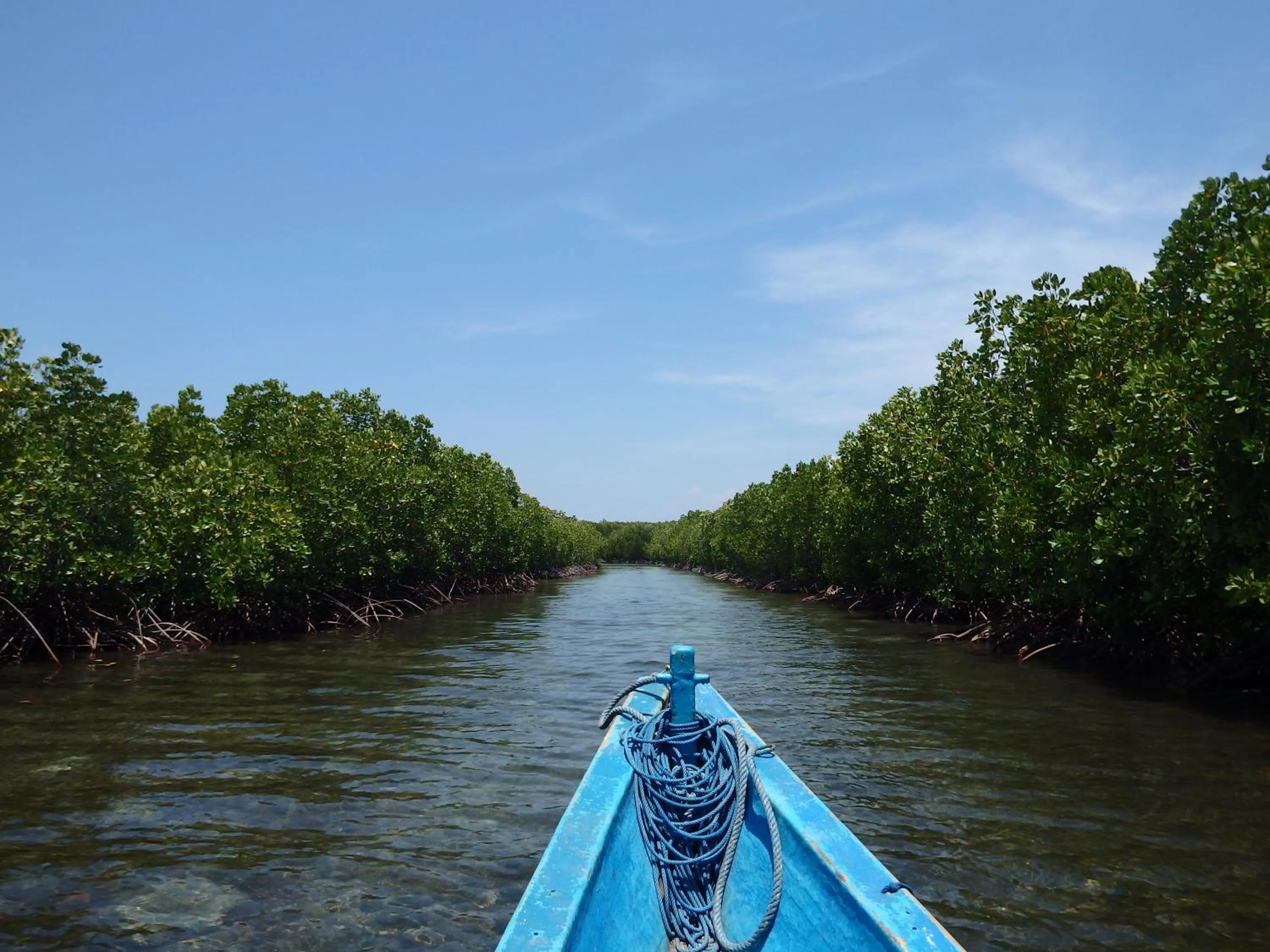 Natural landscape in Pondok Wisata Gili Lampu