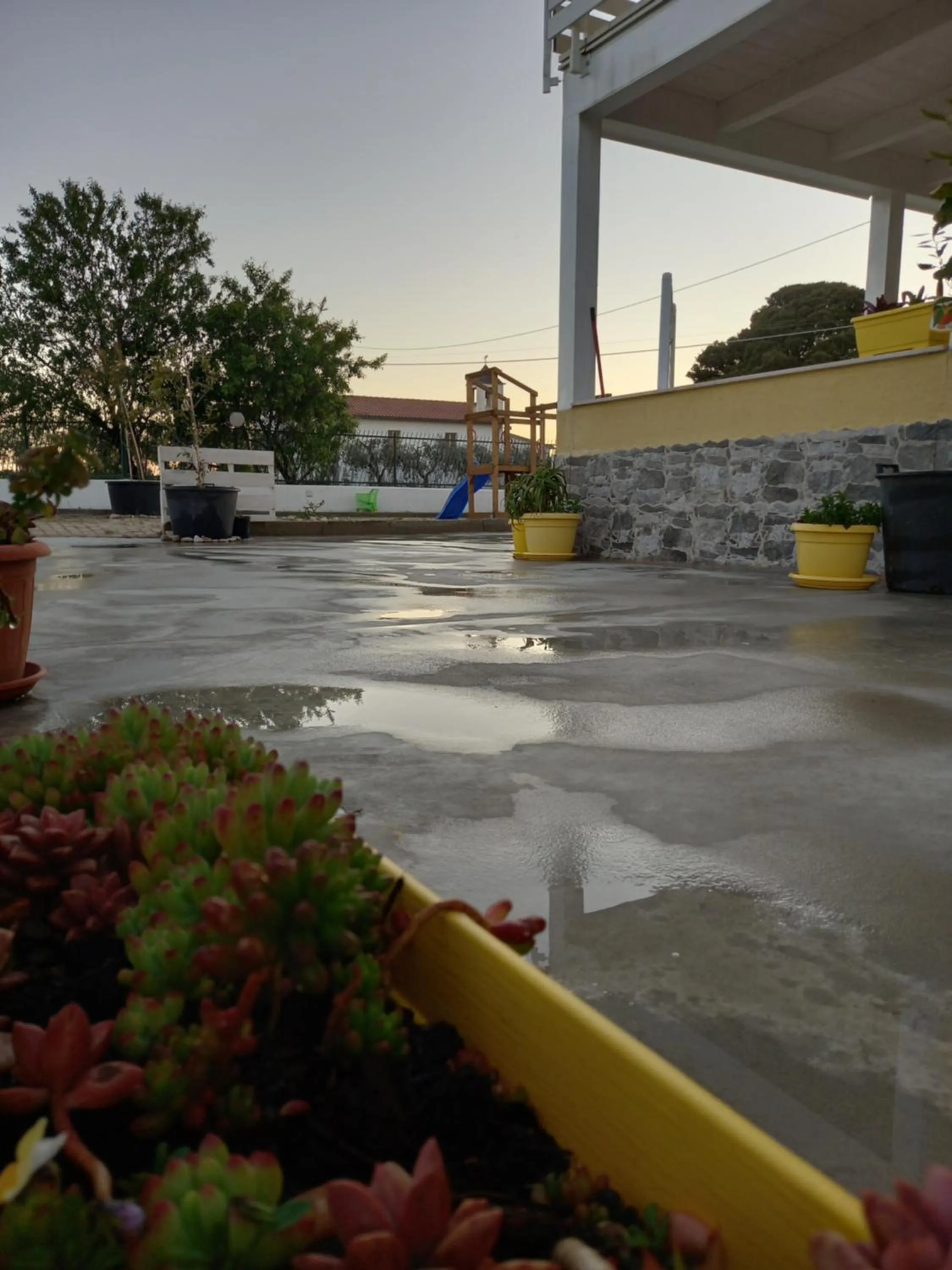 Garden in B&B IRIS COTTAGE