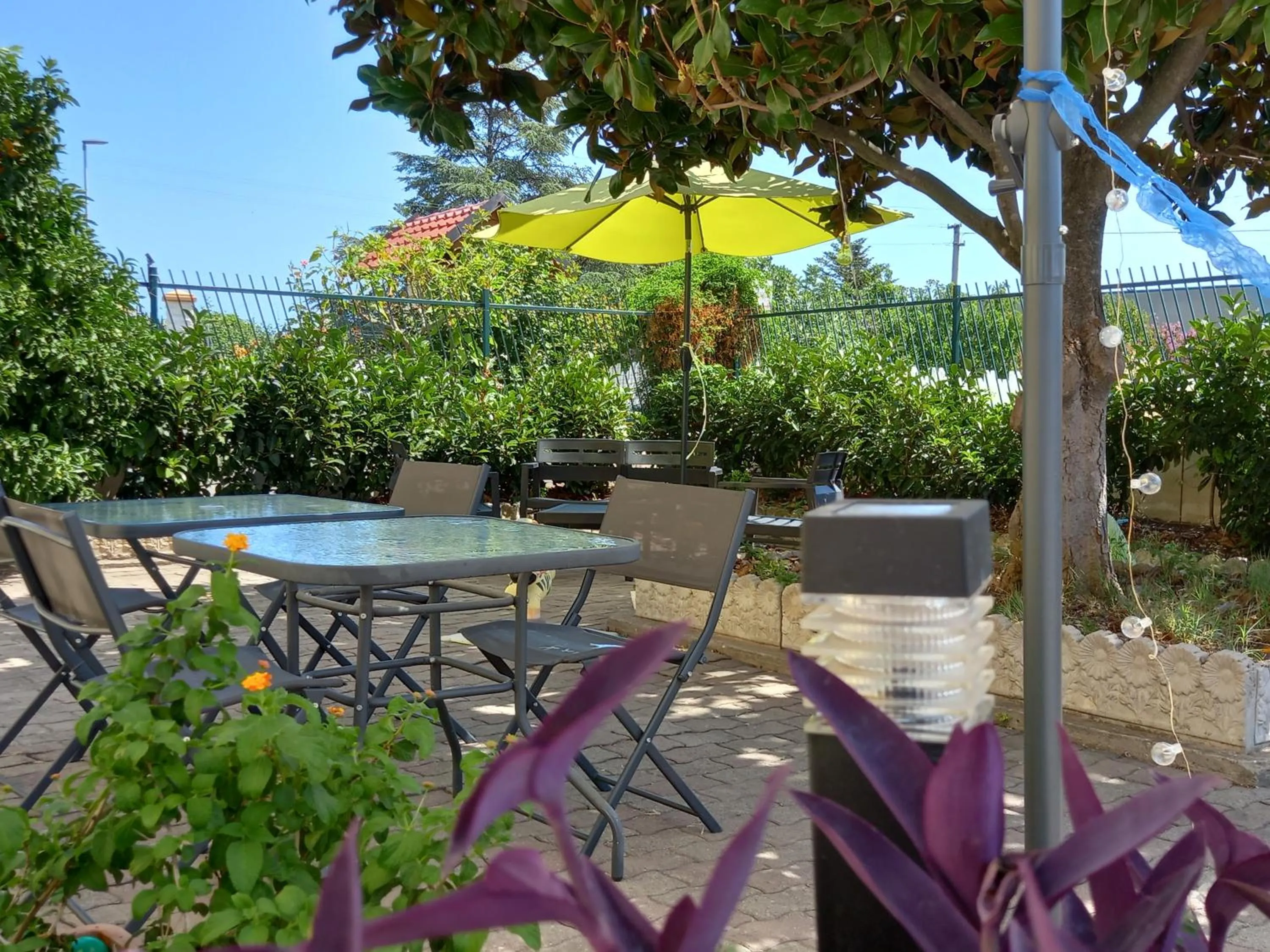 Garden in B&B IRIS COTTAGE