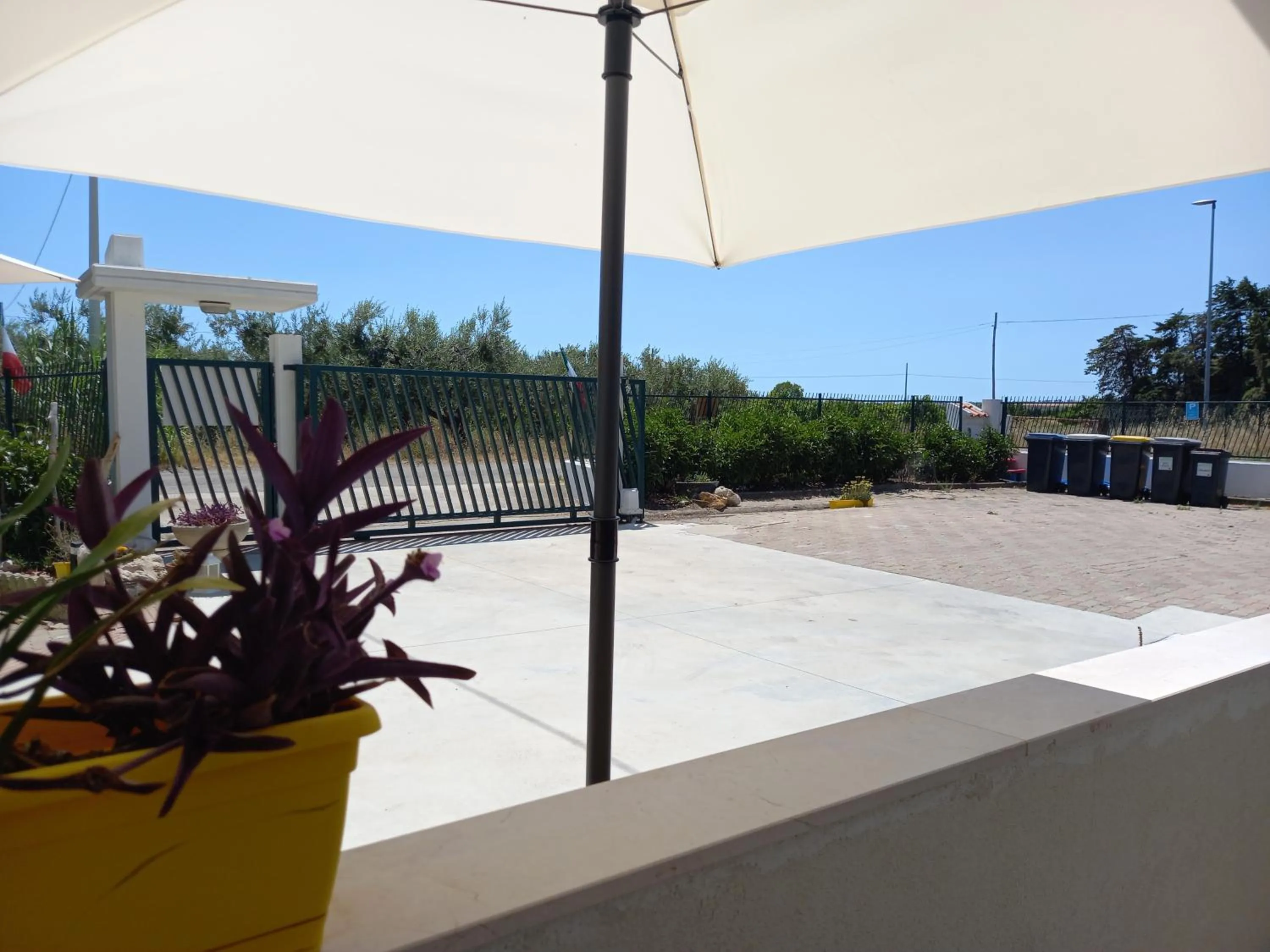 Garden in B&B IRIS COTTAGE