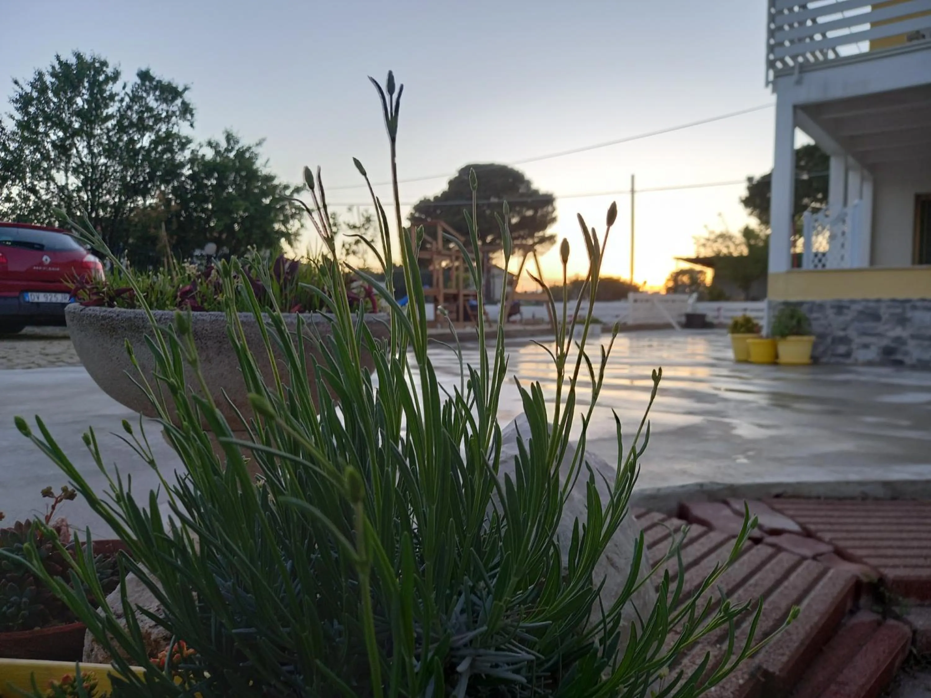 Garden in B&B IRIS COTTAGE