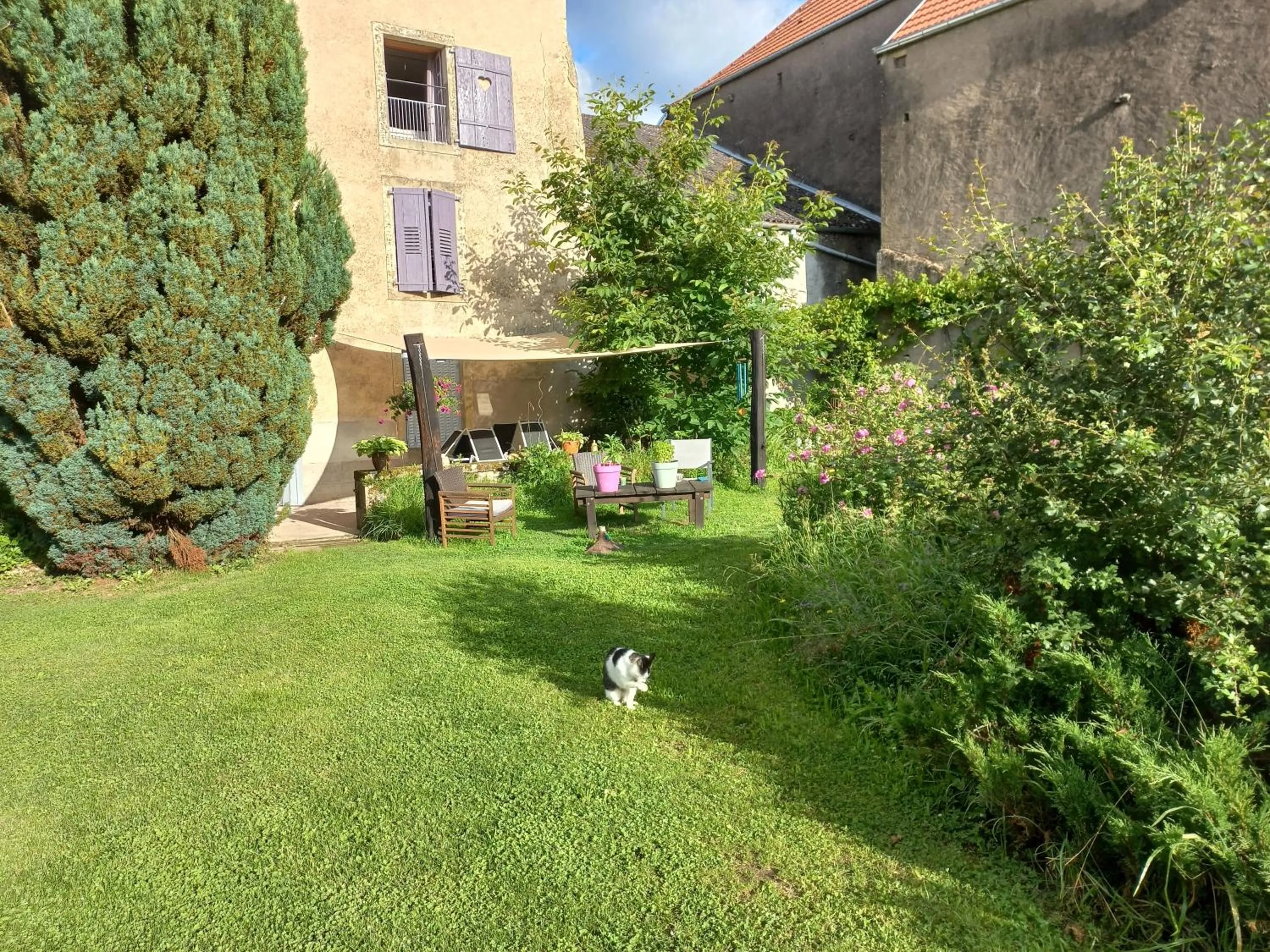 La Maison du Notaire - Chambre d'Hôtes - Huisdieren welkom