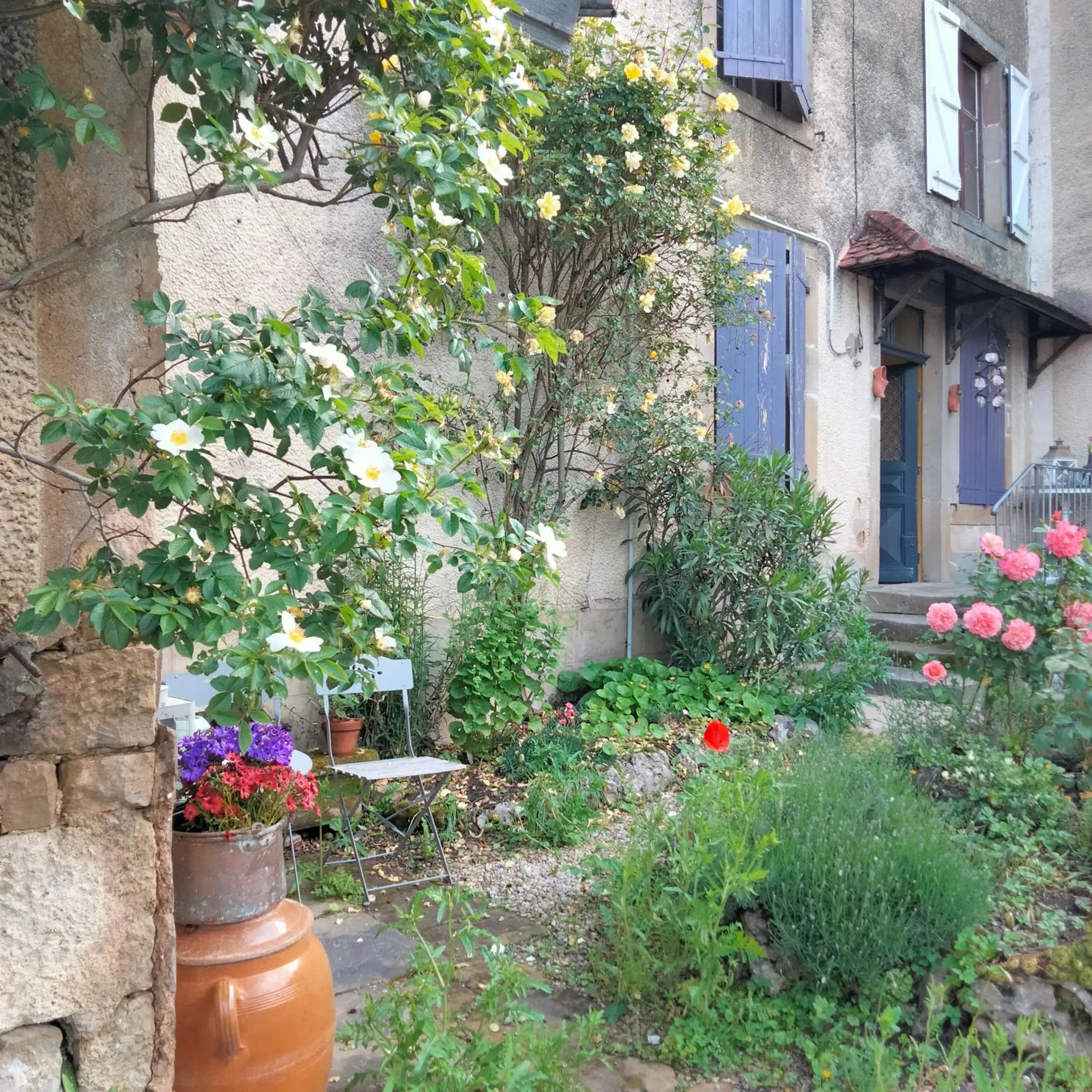 La Maison du Notaire - Chambre d'Hôtes - Huisdieren welkom