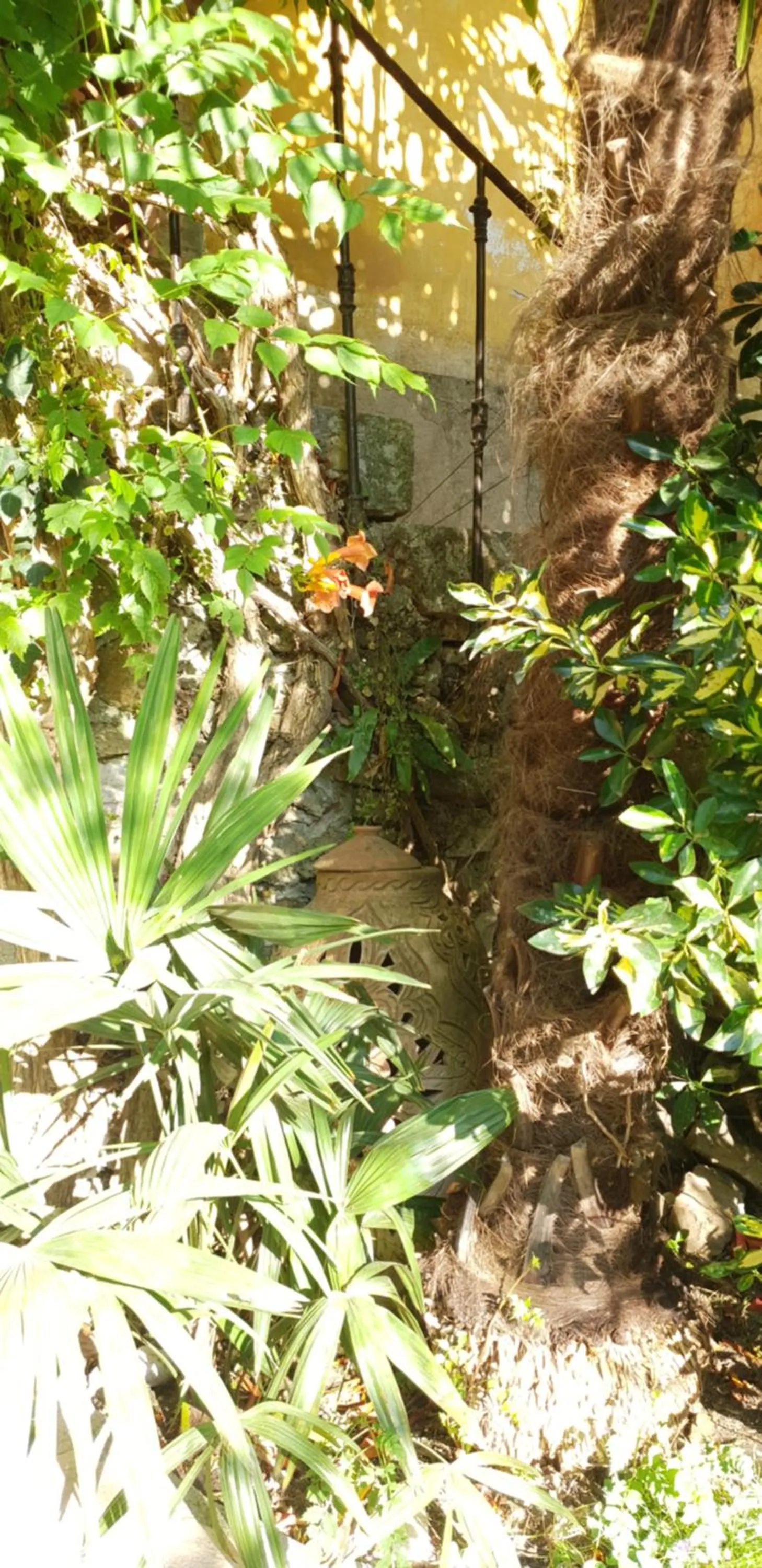 Garden in La Cordeline