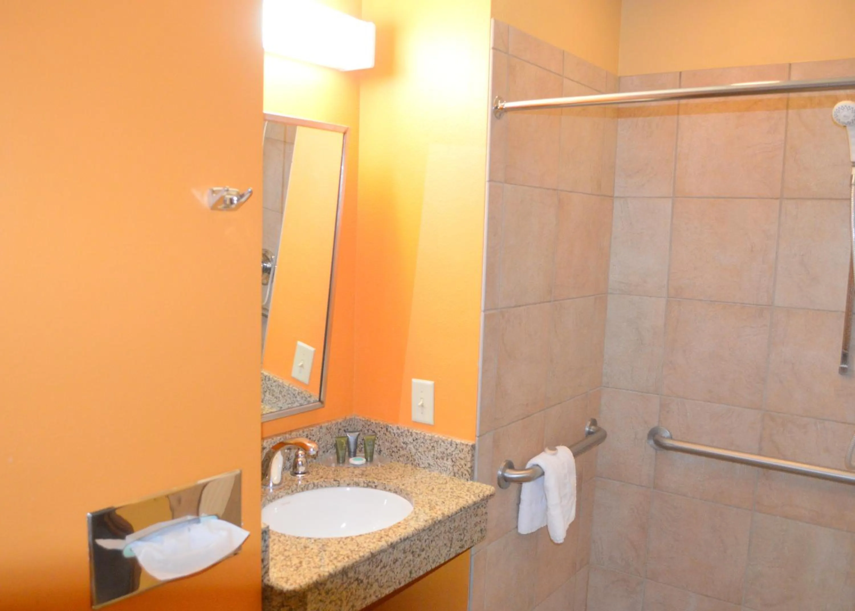 Bathroom in Microtel Inn and Suites by Wyndham Rawlins