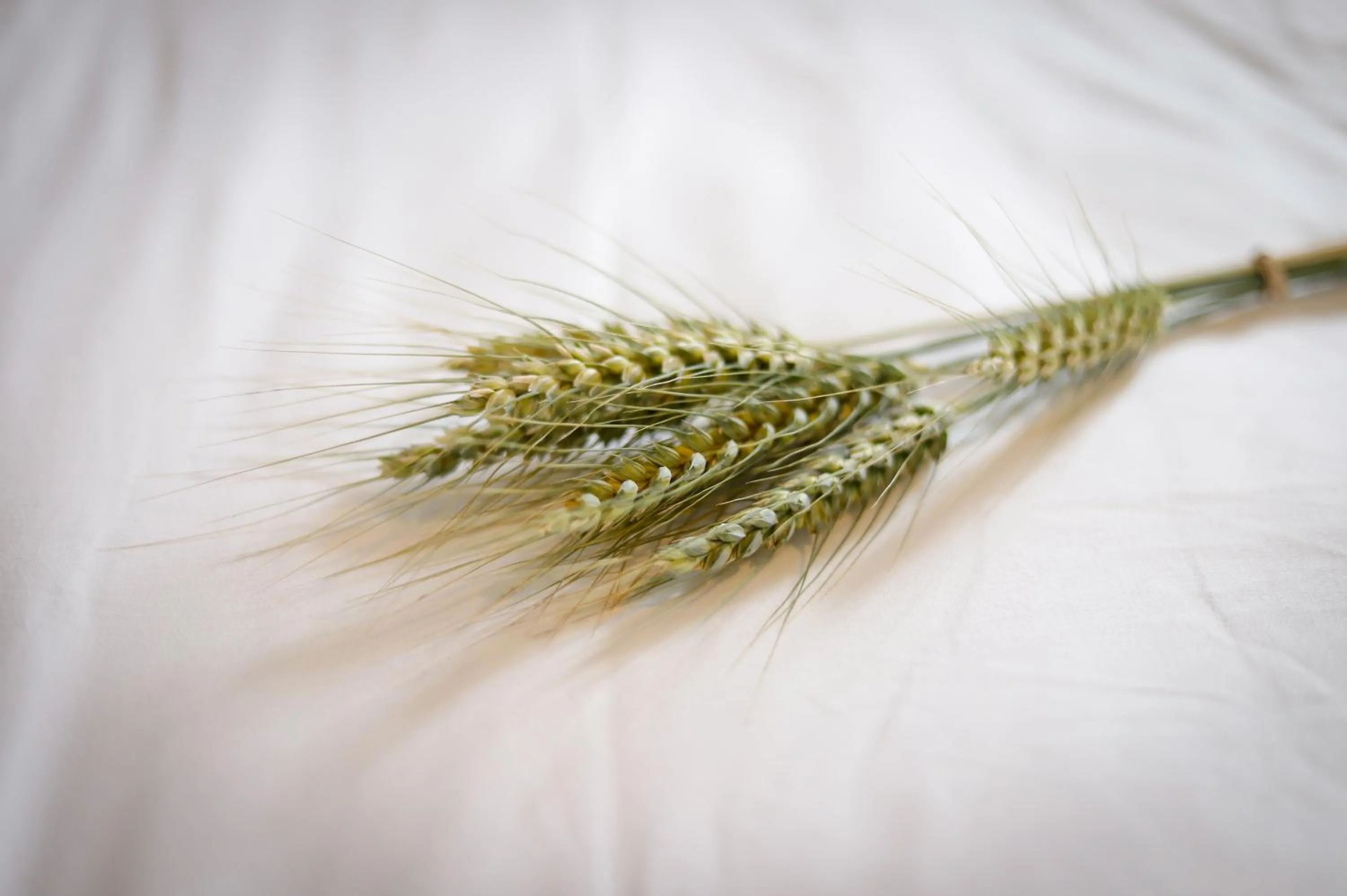 Bedroom in Le Moulin Bleu