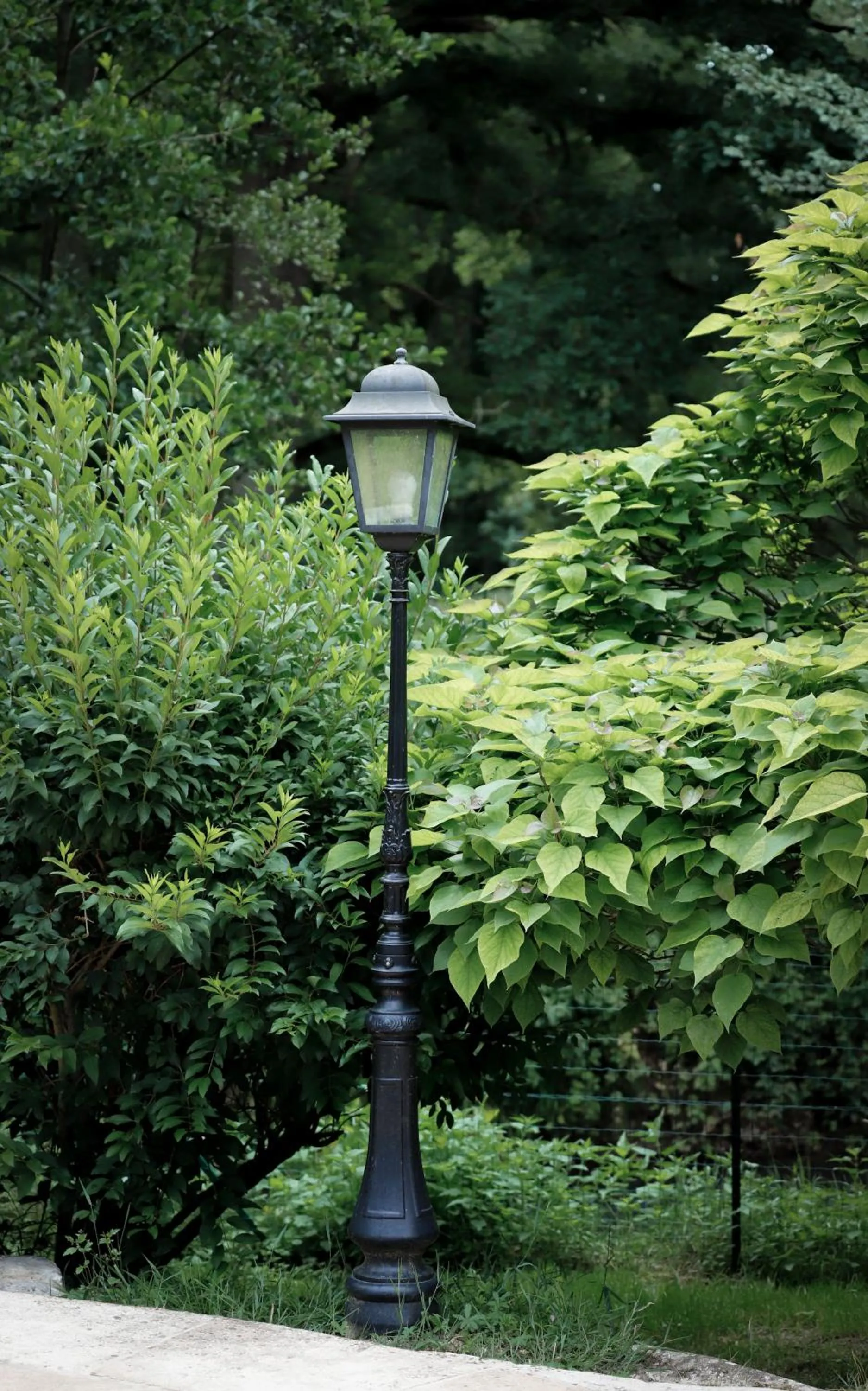 Garden in Le Moulin Bleu