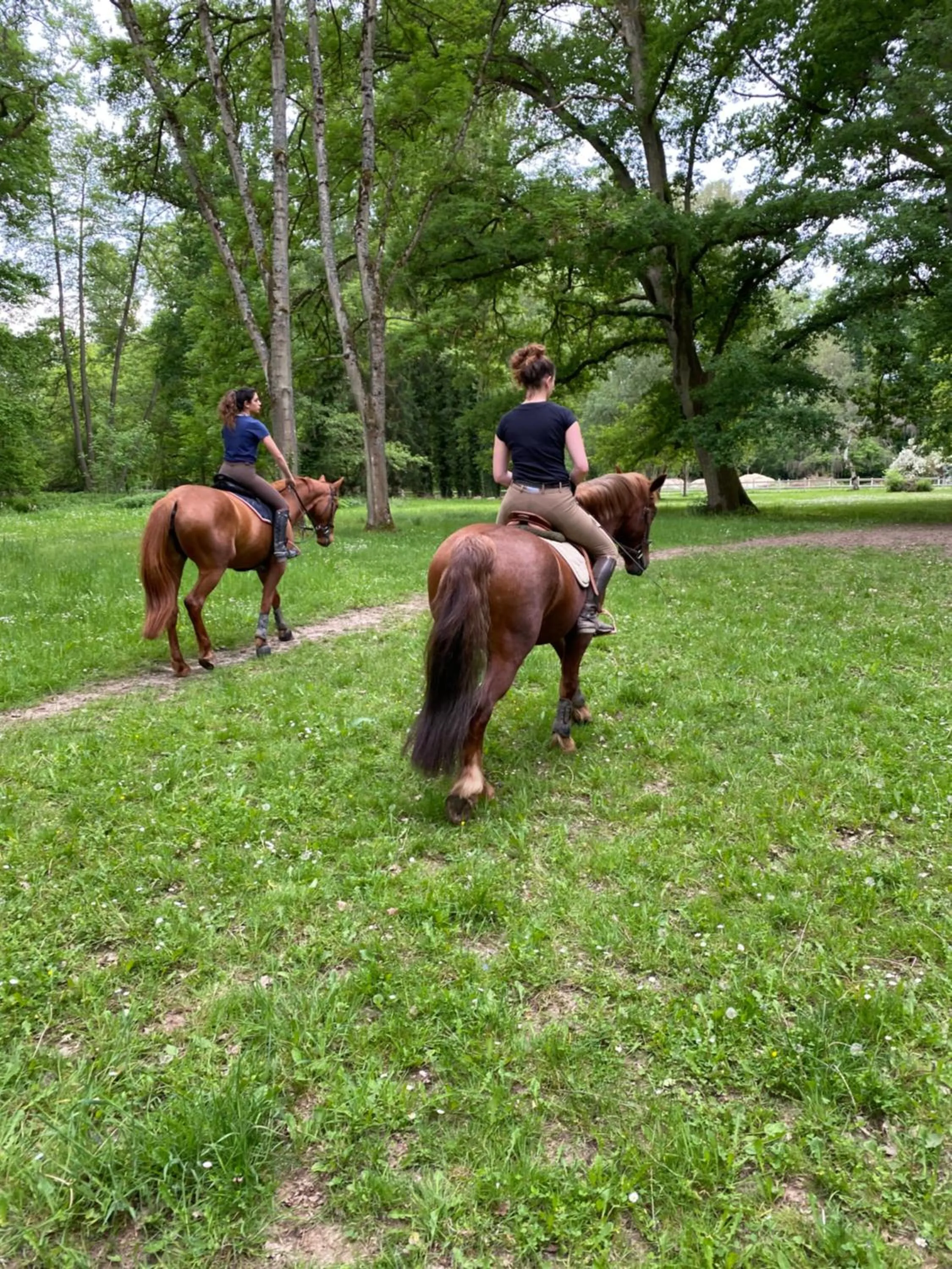 Horse-riding in Le Moulin Bleu