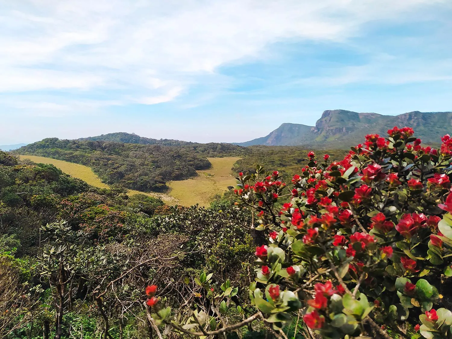 Nearby landmark in Tea and Experience Factory - Thema Collection