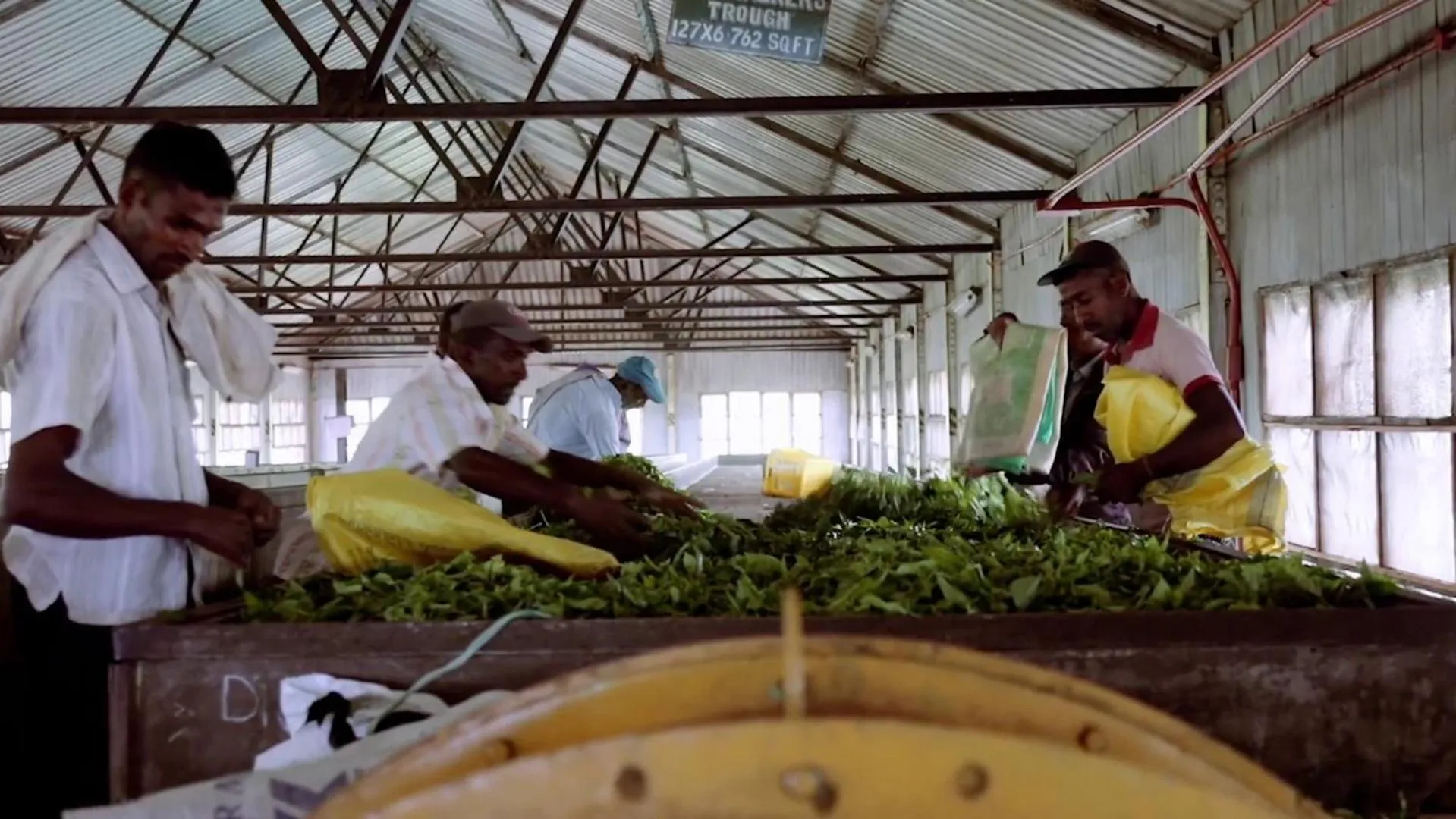 Staff in Tea and Experience Factory - Thema Collection