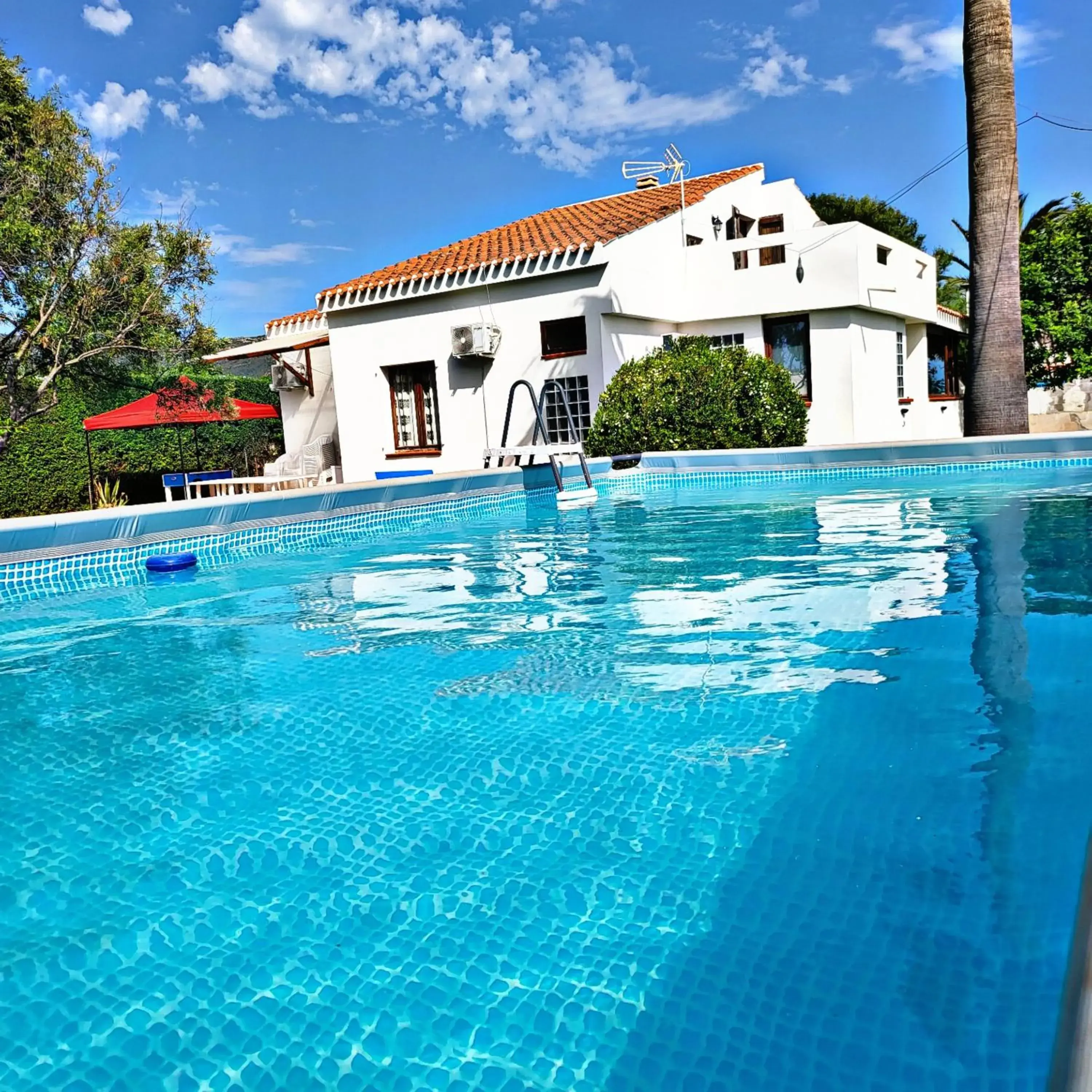 B&B Il Pasha' B&B Il Pasha'