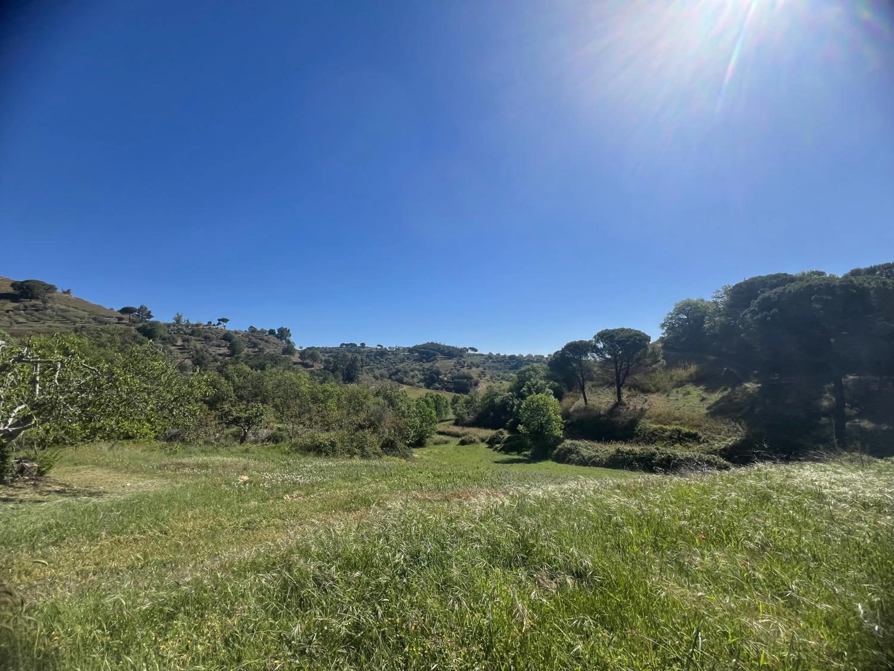 Natural landscape in Agriresort Villa Bentivoglio