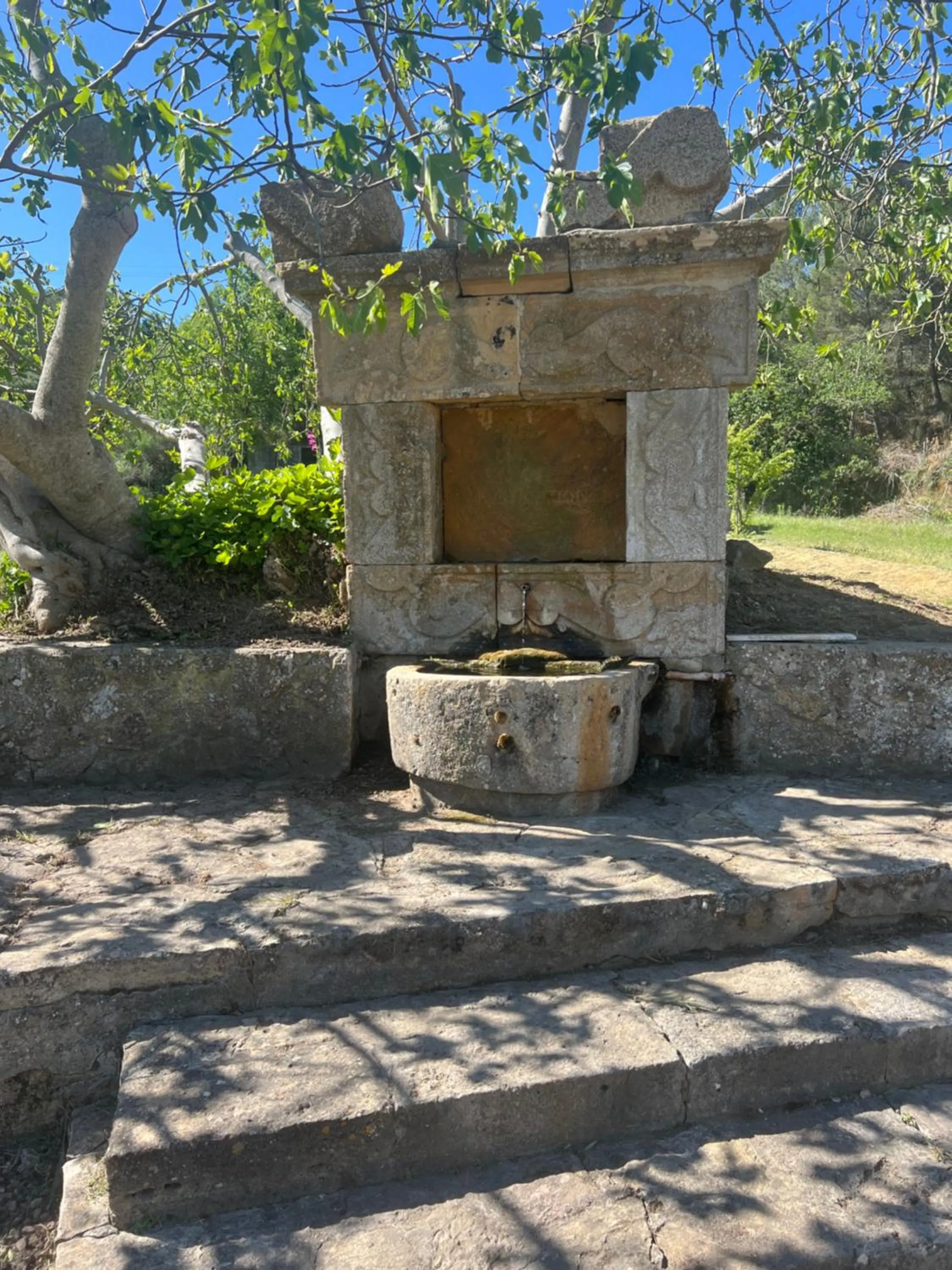 Garden in Agriresort Villa Bentivoglio