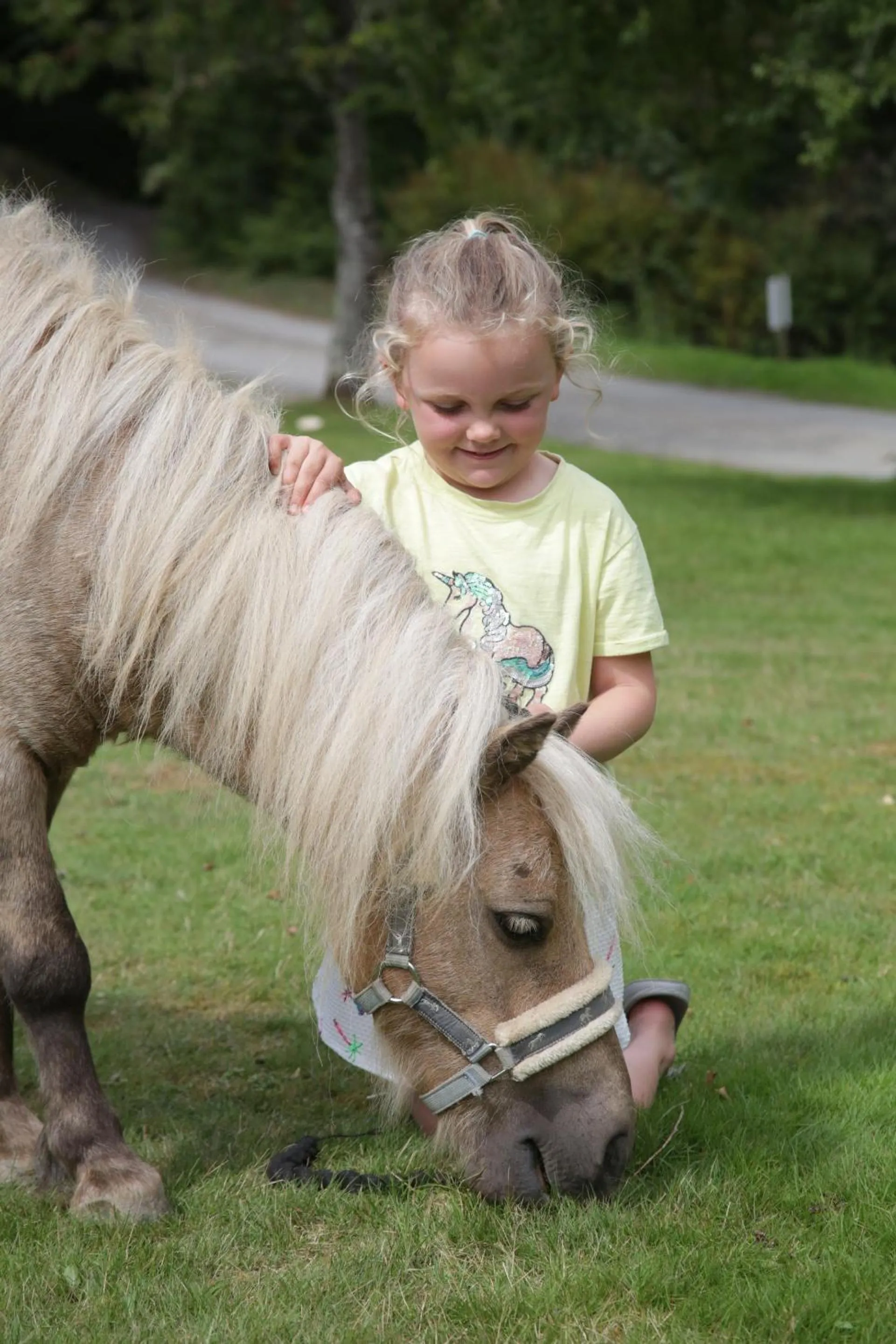 Activities in Great Trethew Manor Hotel & Restaurant