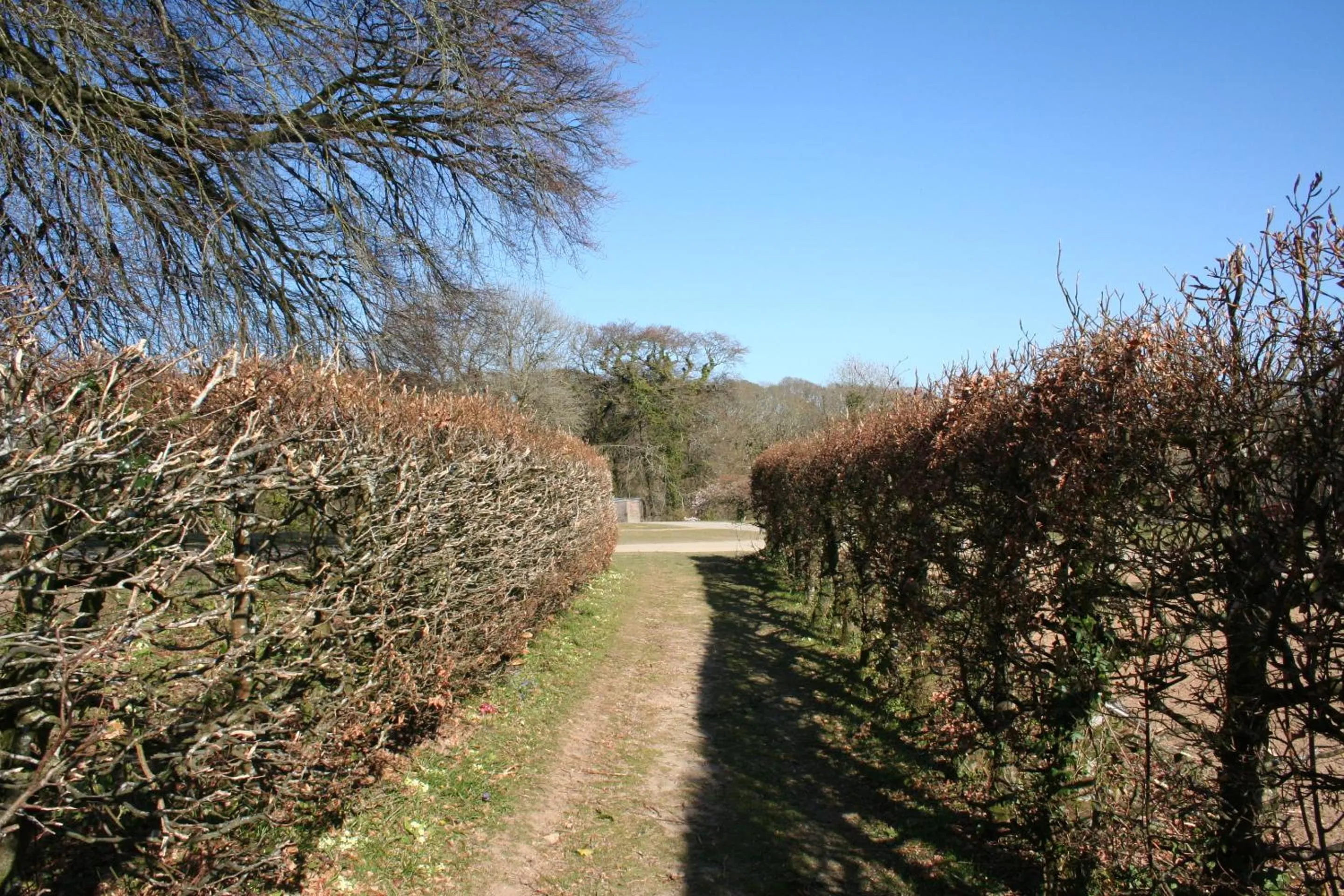 Garden in Great Trethew Hotel - Self Catering Lodges - Bar & Restaurant