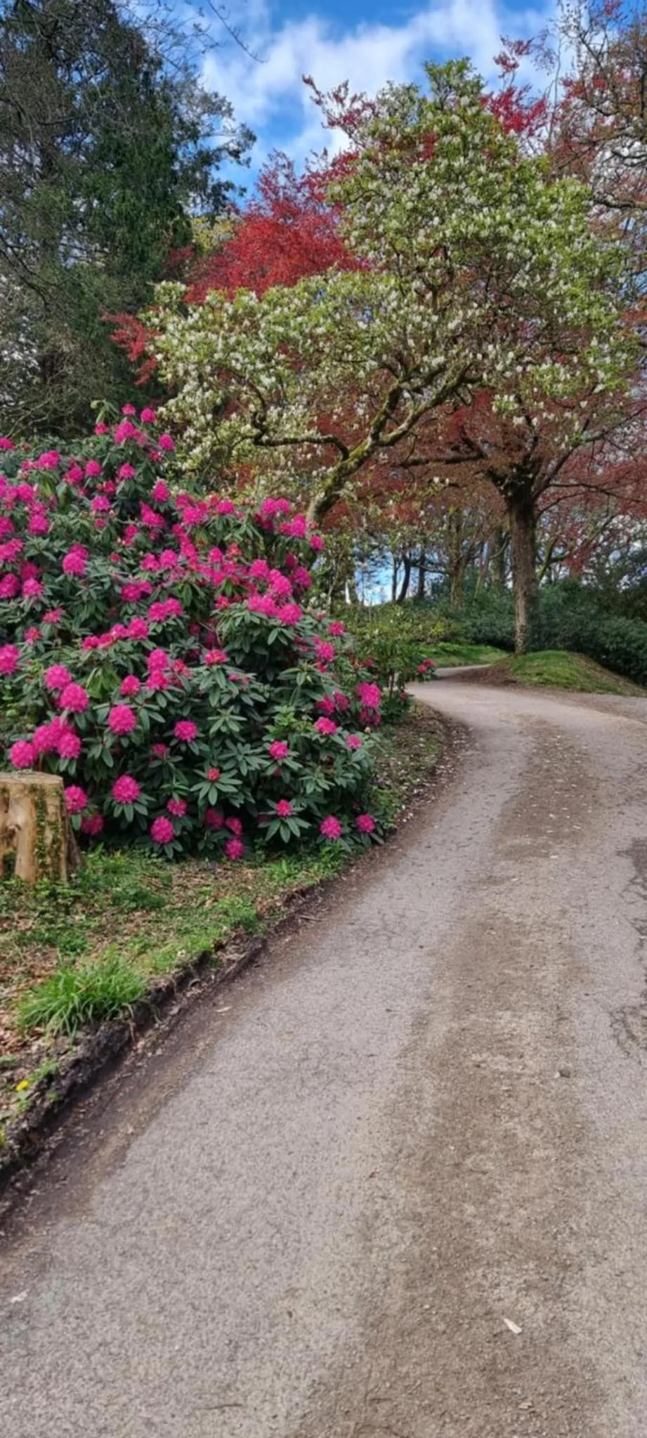 Property building in Great Trethew Hotel - Self Catering Lodges - Bar & Restaurant