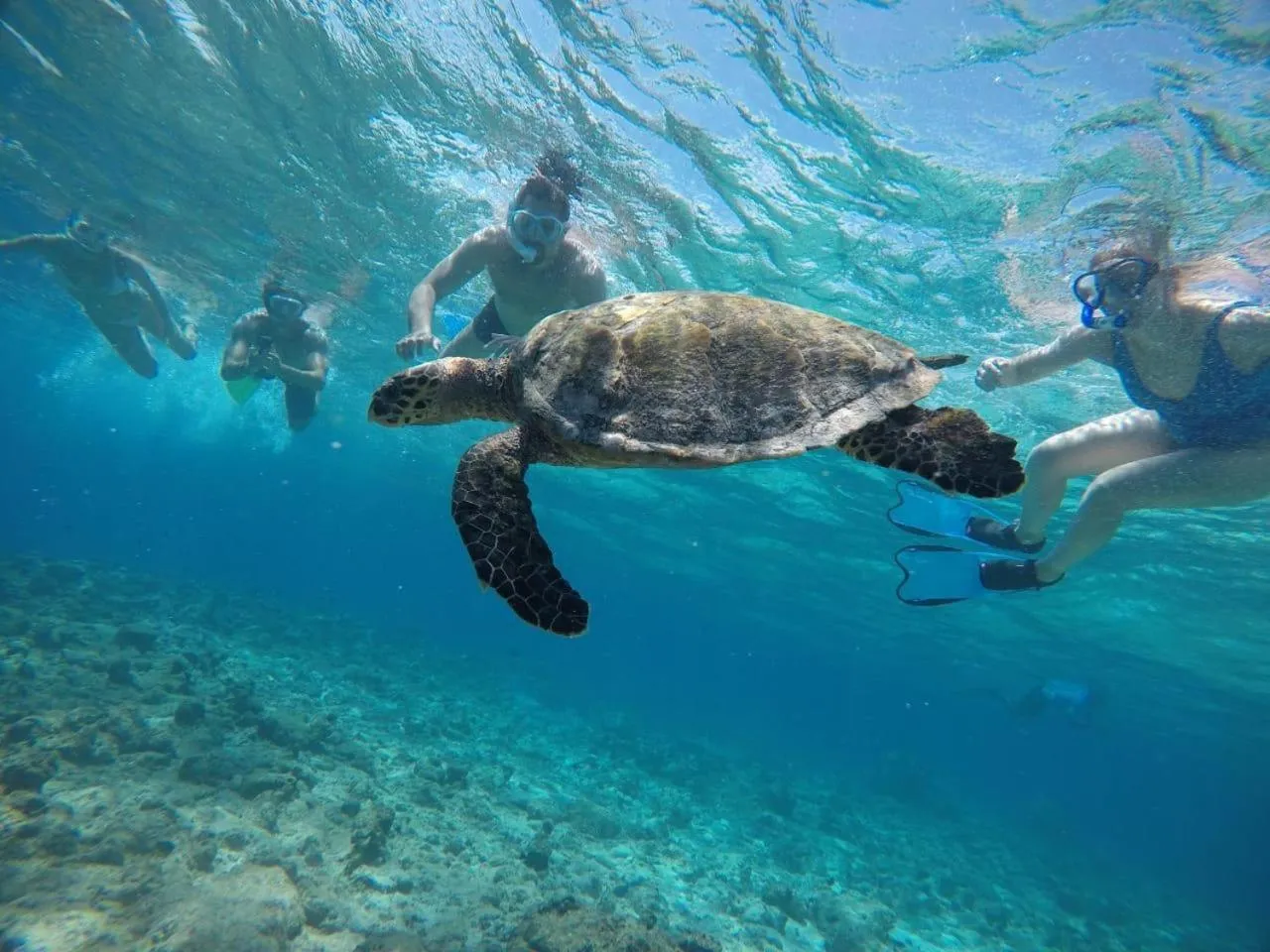 Snorkeling in Moodhumaa Inn