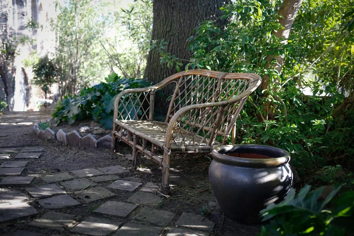 Garden in Le Mas Fraissinet