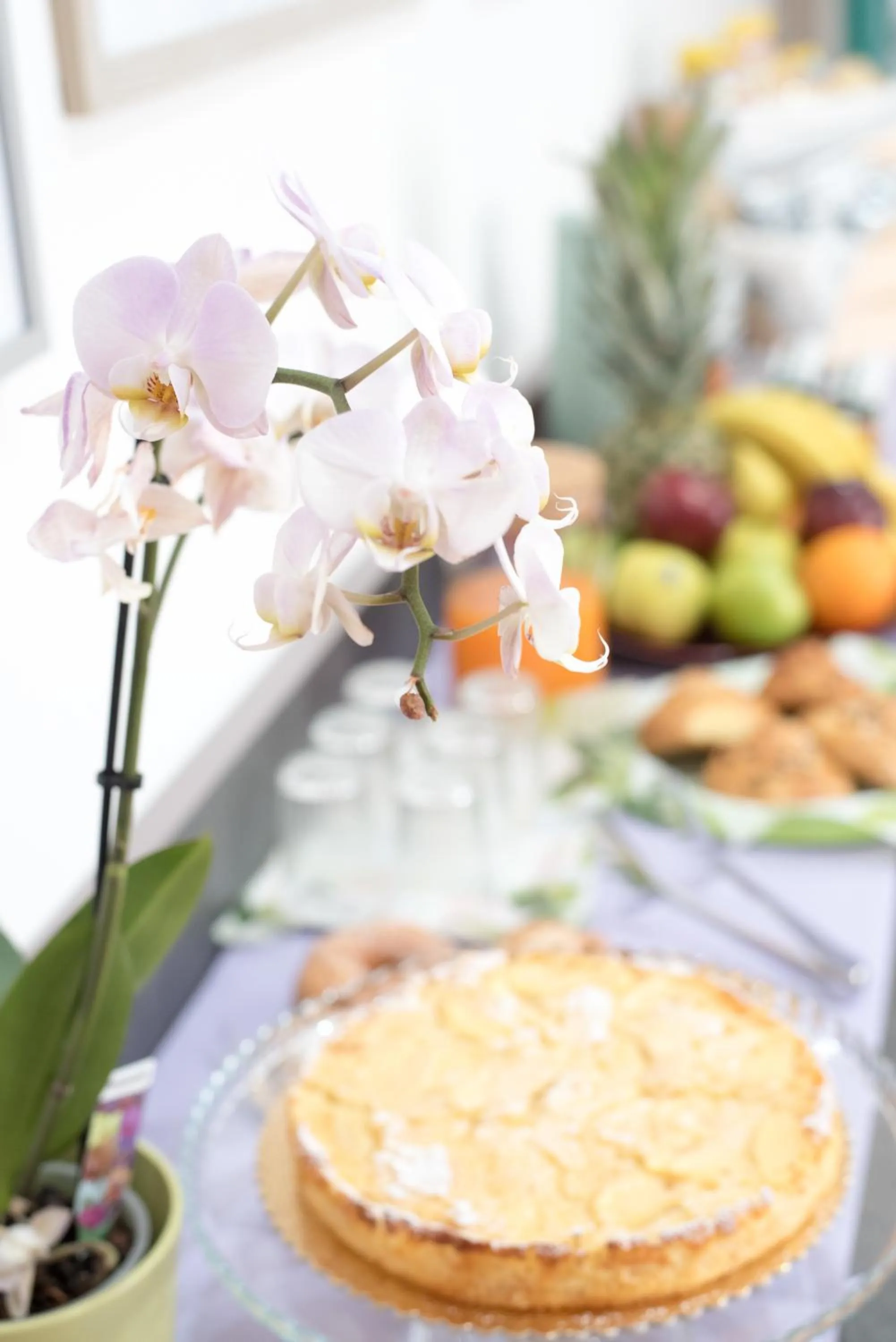 Buffet breakfast in Starnone Bed&Book