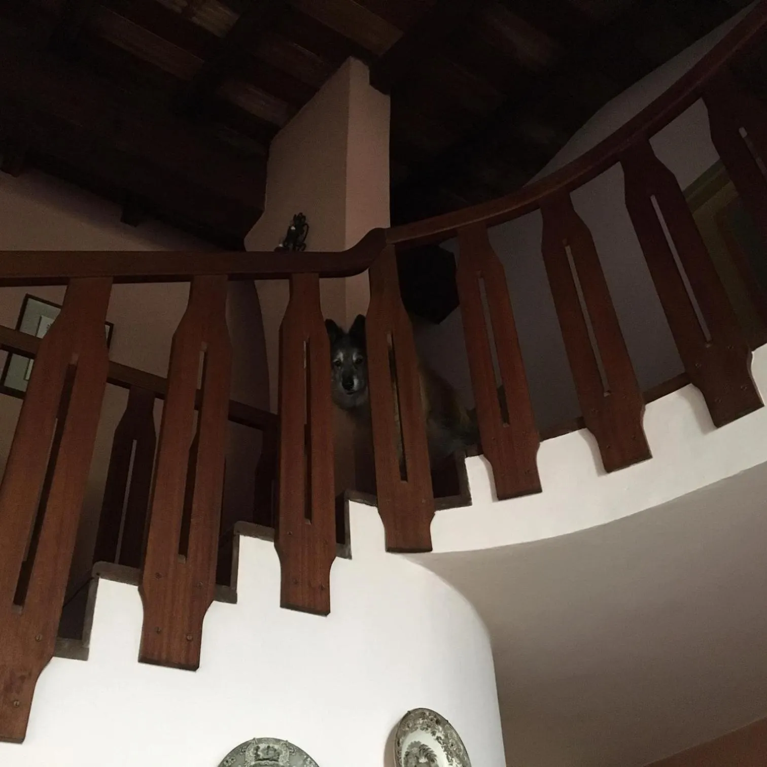 Decorative detail in Mirabilia