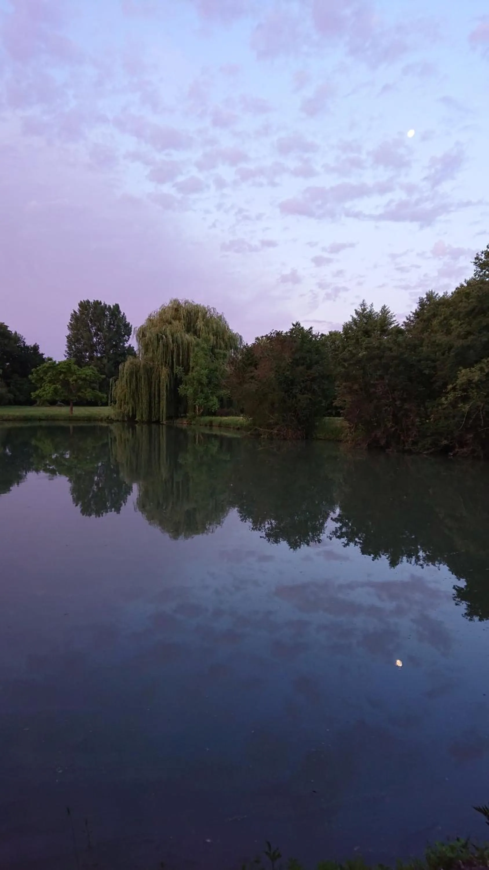 Lake view in Moulin du Fief Gentil