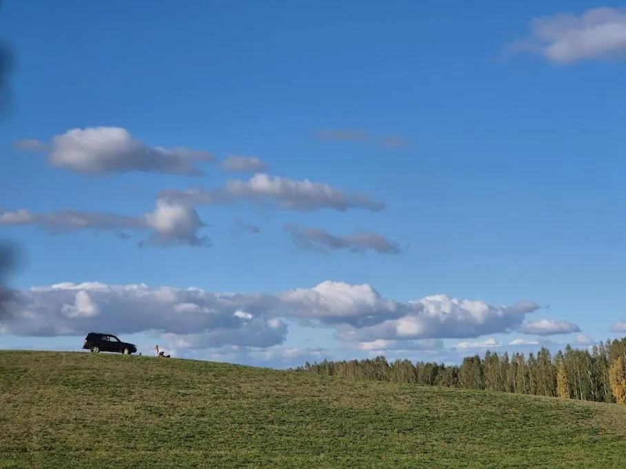 Pensjonat Rybaczówka - noclegi, restauracja, port