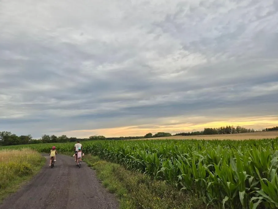 Pensjonat Rybaczówka - noclegi, restauracja, port