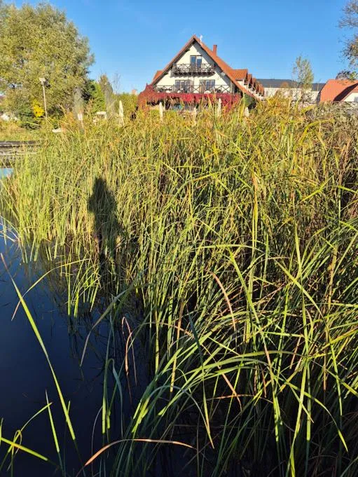 Pensjonat Rybaczówka - noclegi, restauracja, port