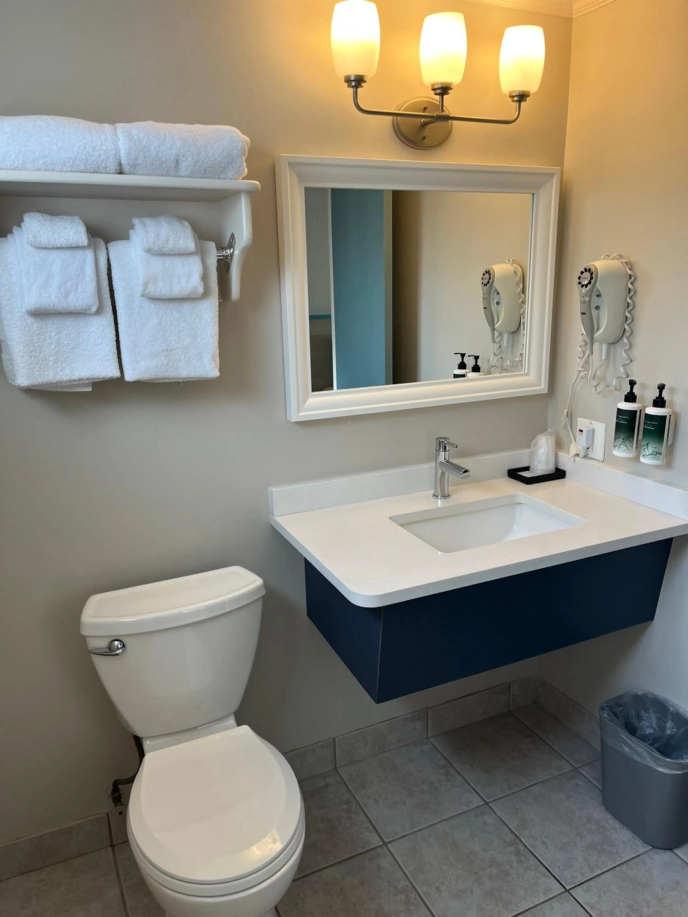 Toilet in Revelstoke Lodge