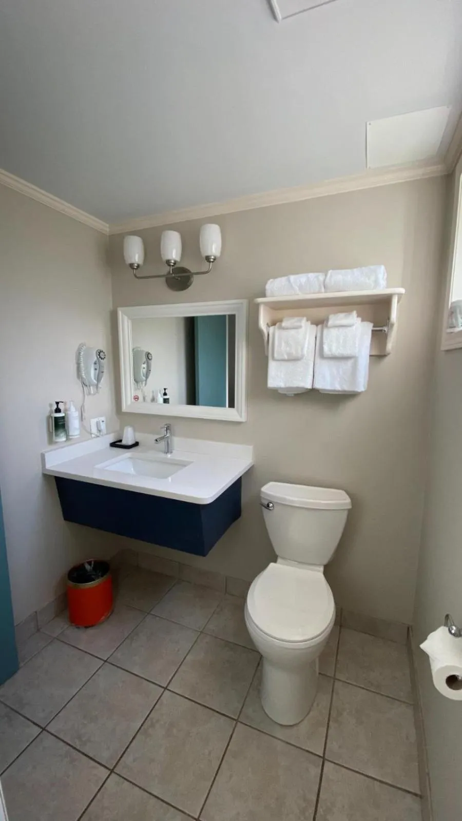 Toilet in Revelstoke Lodge