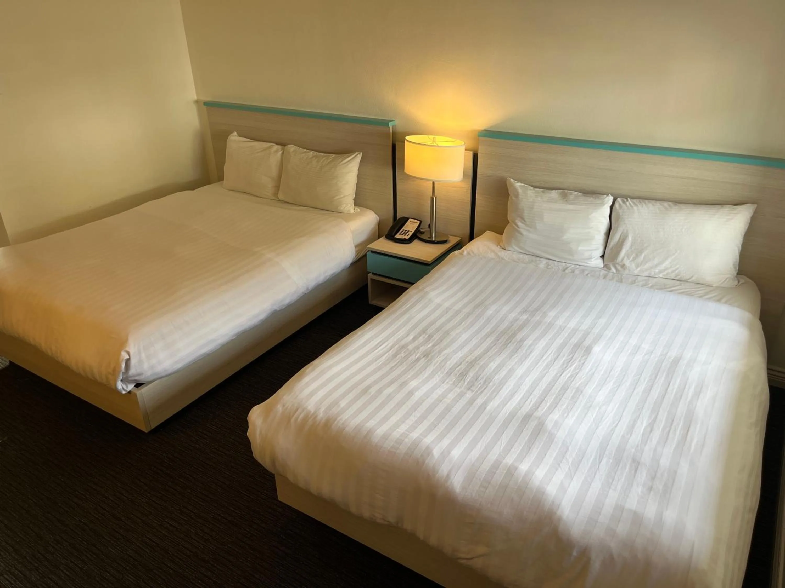 Photo of the whole room, Bed in Revelstoke Lodge