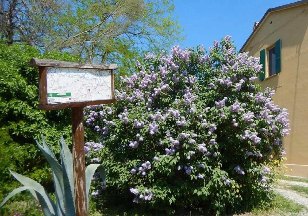 Garden in Casa delle ginestre