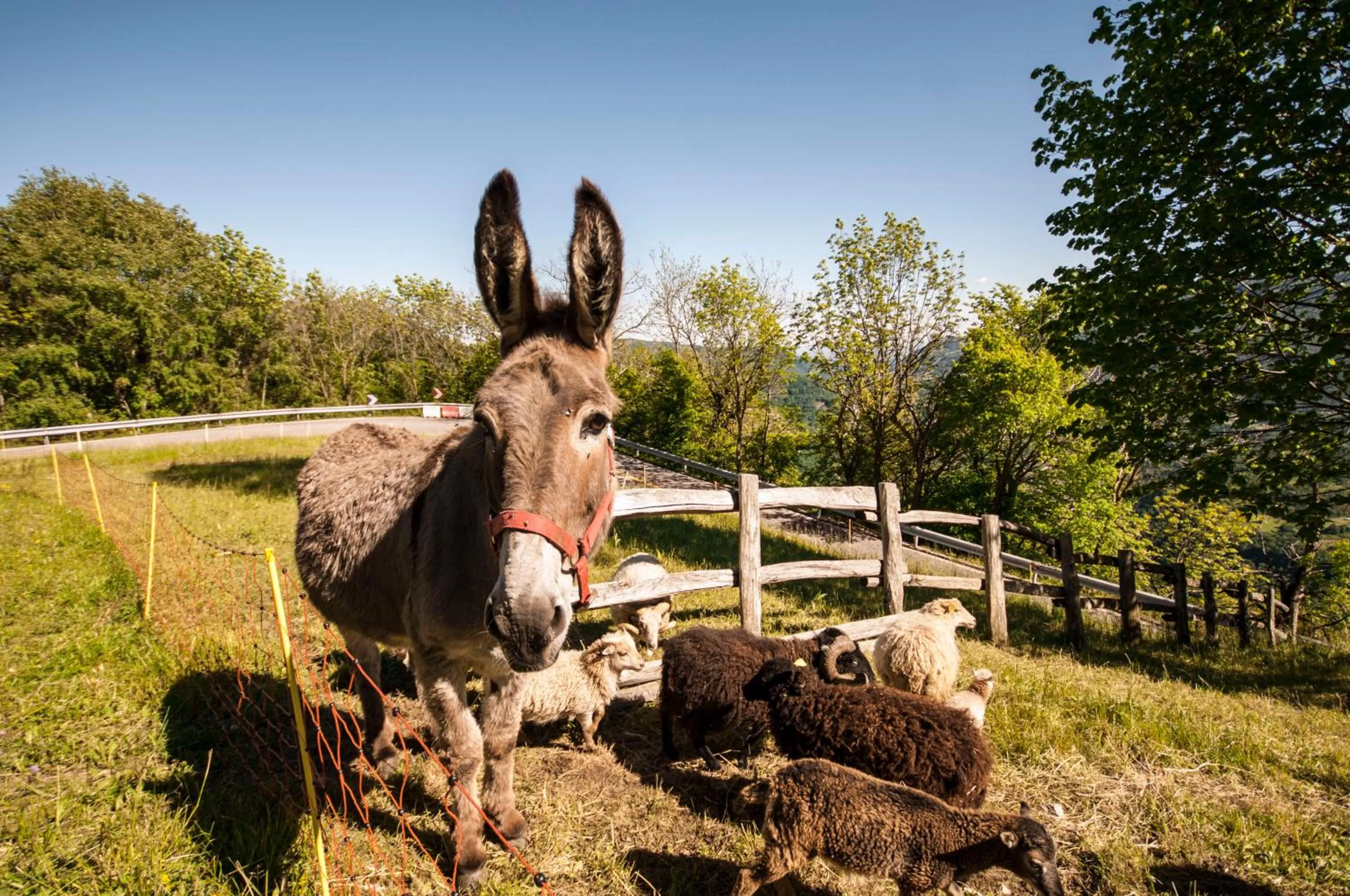 B&B Botton d'Oro Valle Imagna
