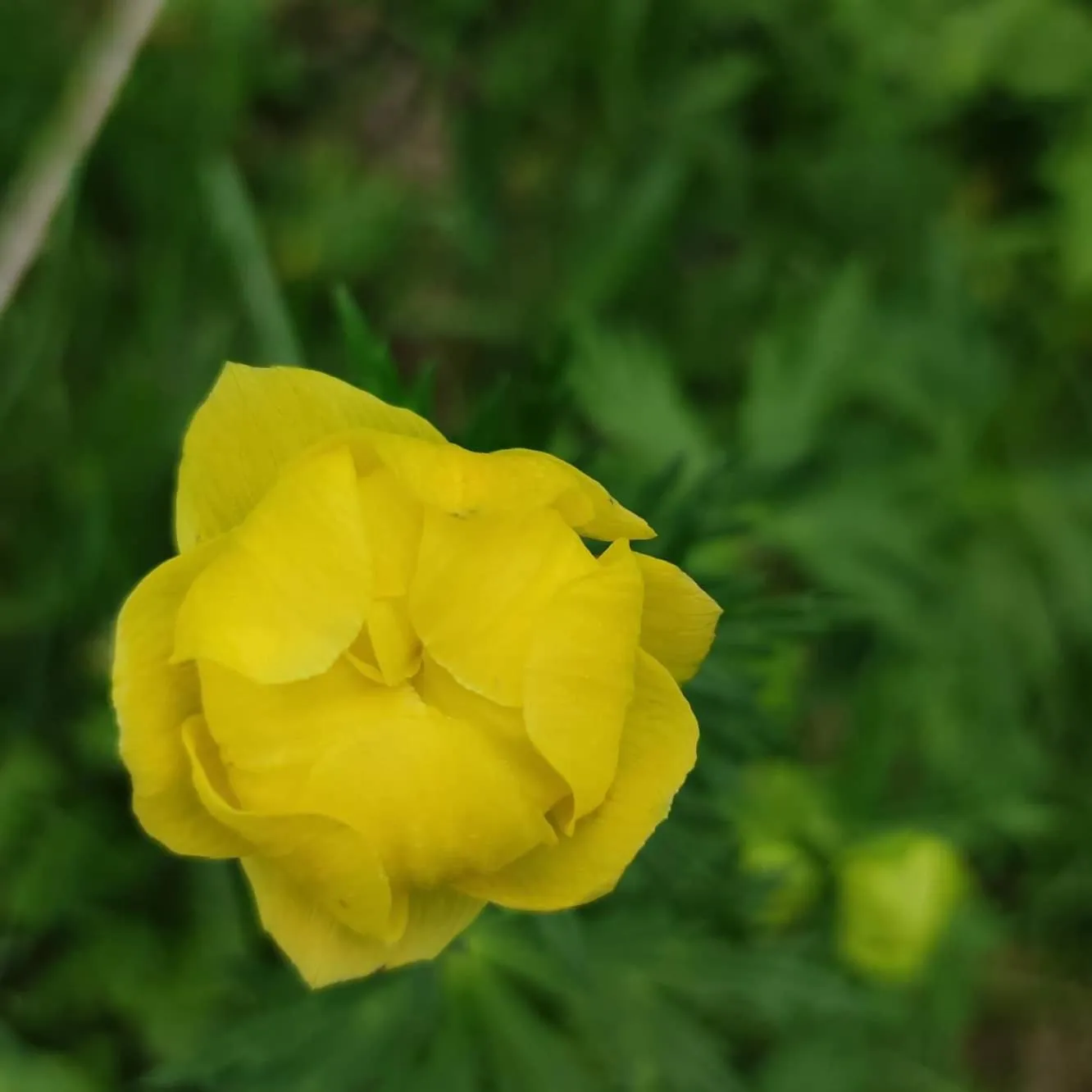 B&B Botton d'Oro Valle Imagna