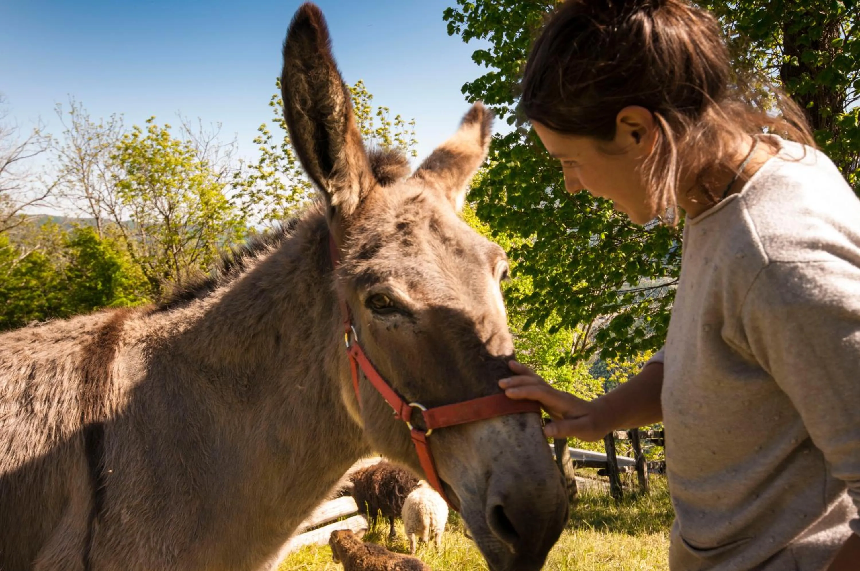 B&B Botton d'Oro Valle Imagna