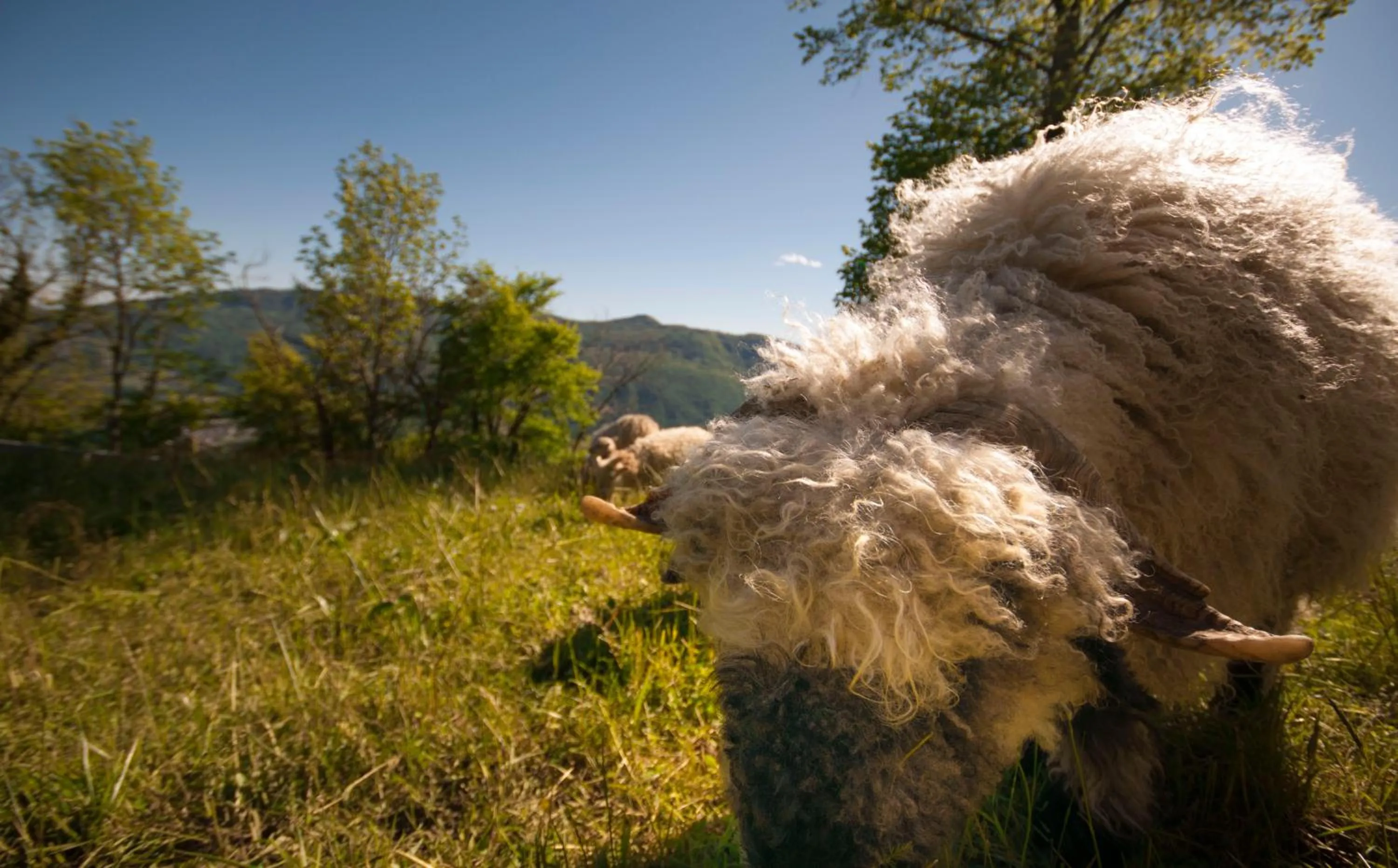 B&B Botton d'Oro Valle Imagna