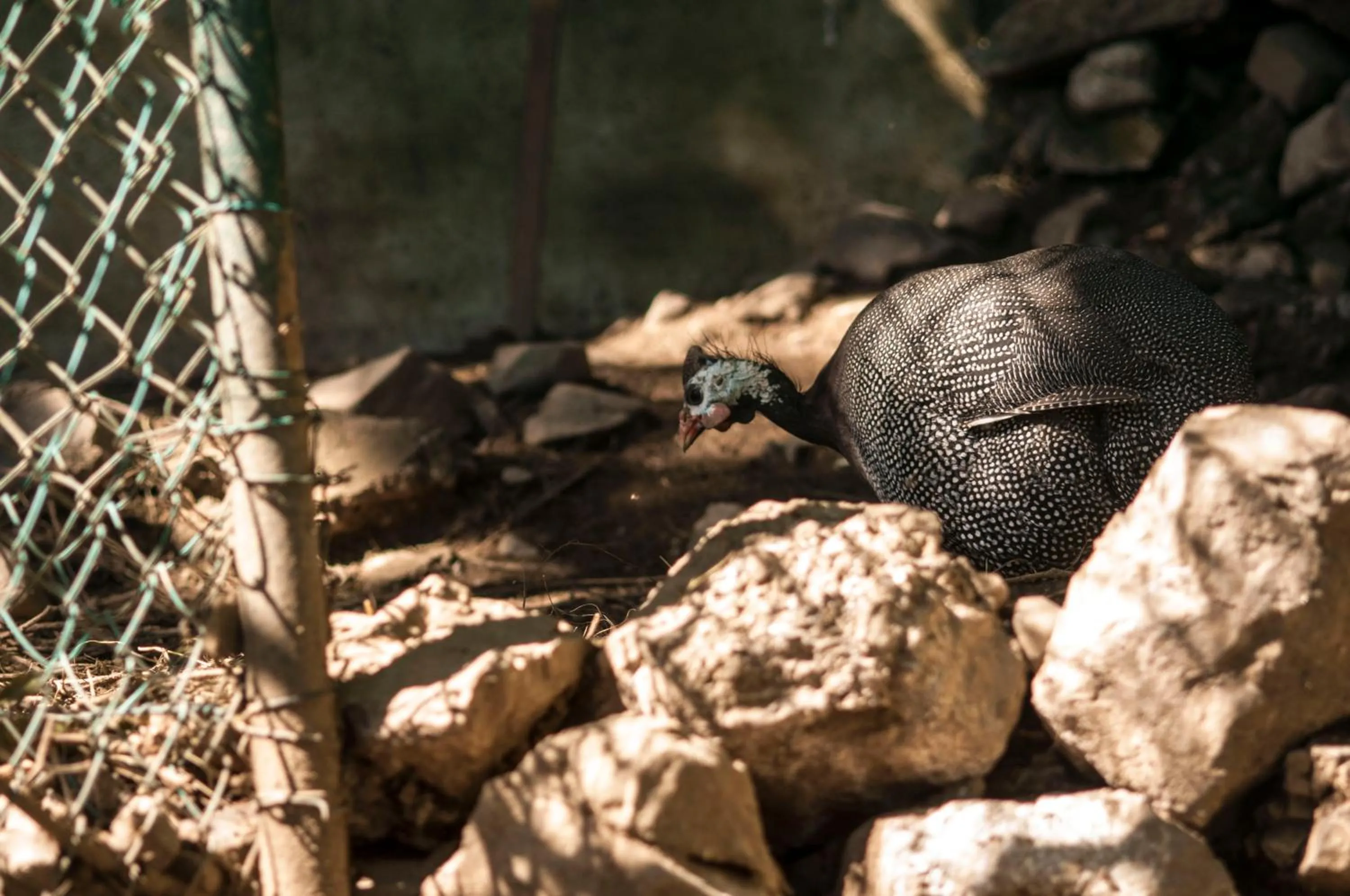 B&B Botton d'Oro Valle Imagna