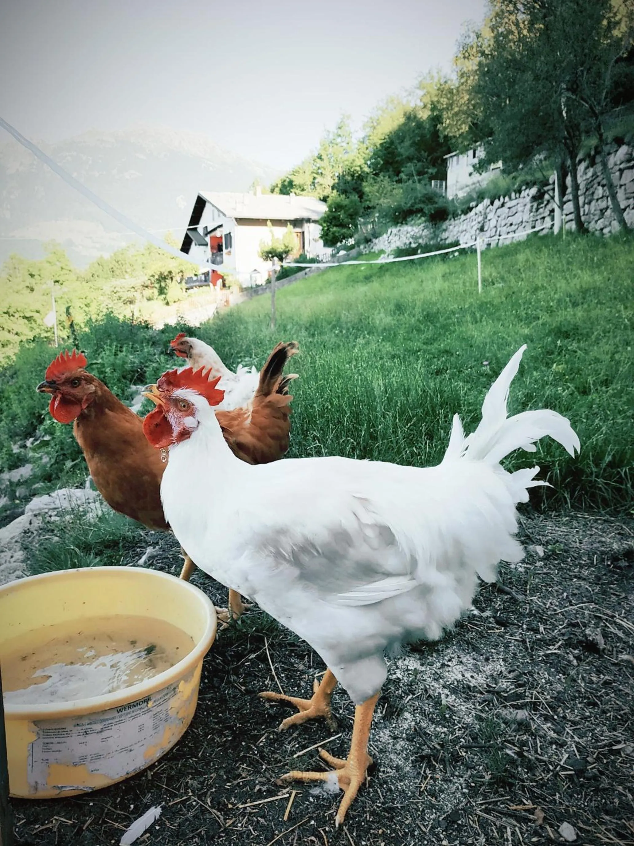 B&B Botton d'Oro Valle Imagna