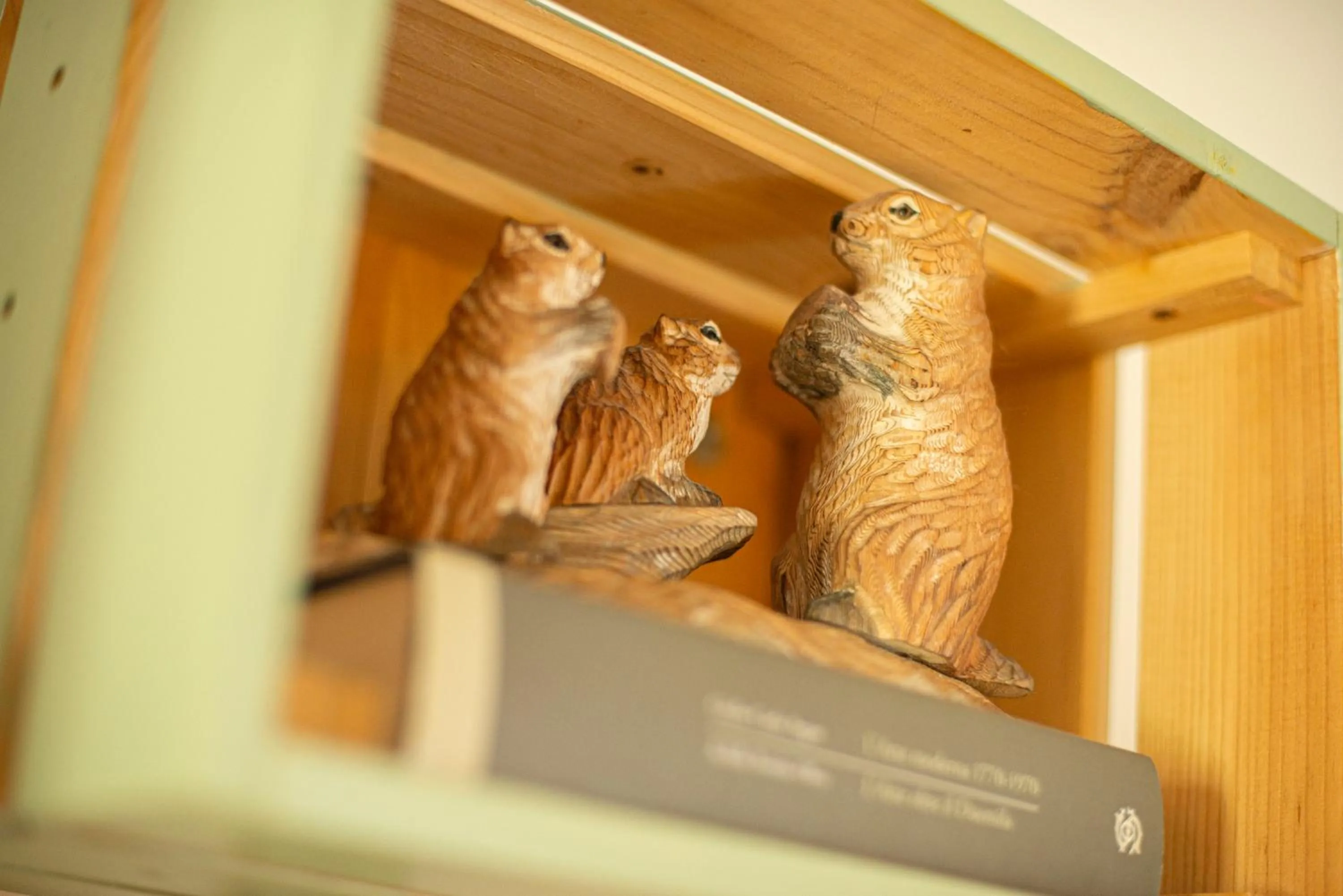 B&B Botton d'Oro Valle Imagna